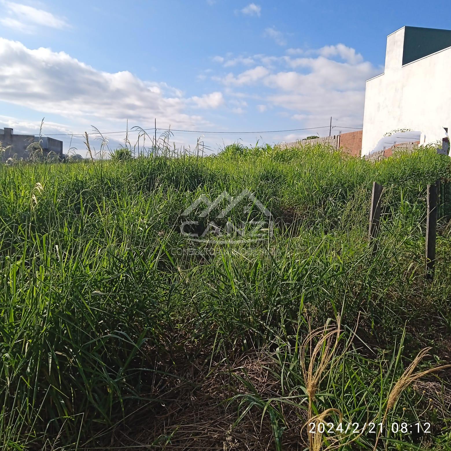 Lote  venda, loteamento Zuttion, bairro Joo Paulo II, REALEZA - PR