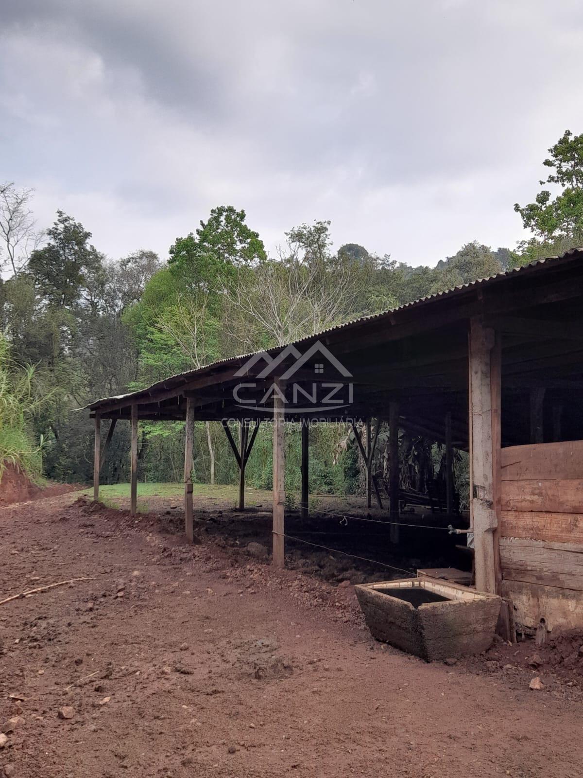 Canzi Consultoria Imobiliria em Realeza PR