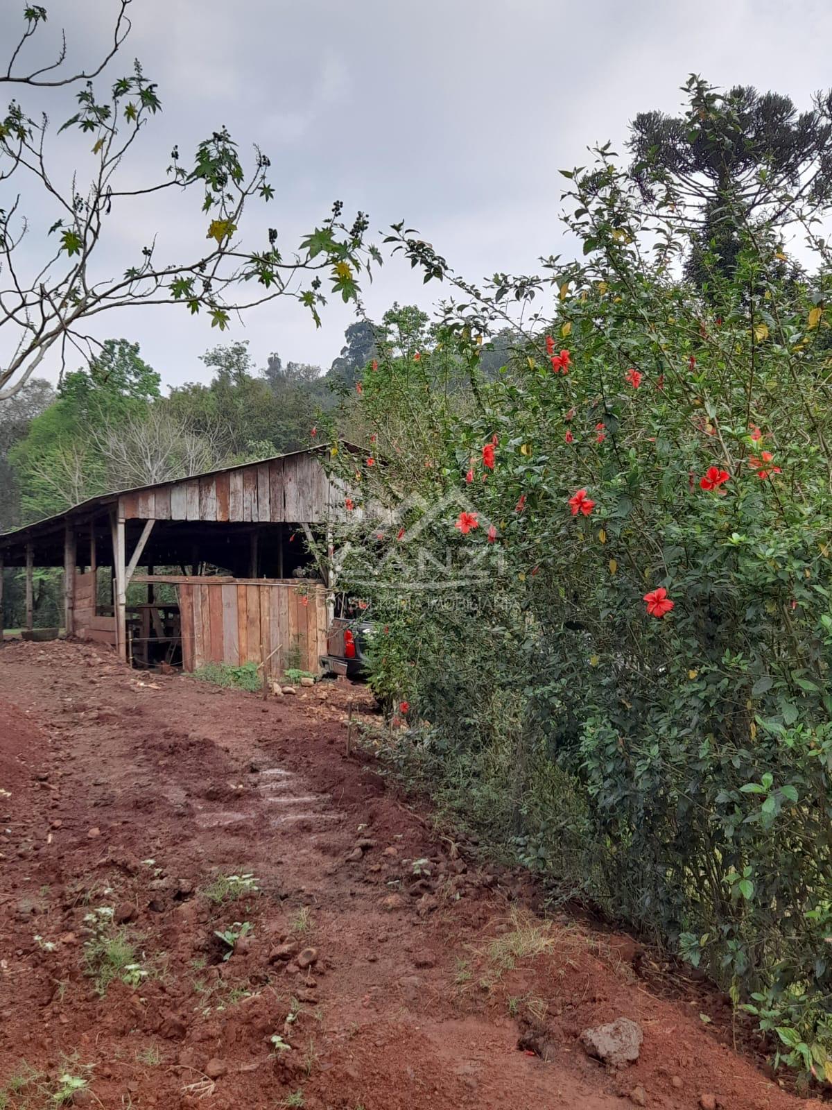 Canzi Consultoria Imobiliria em Realeza PR
