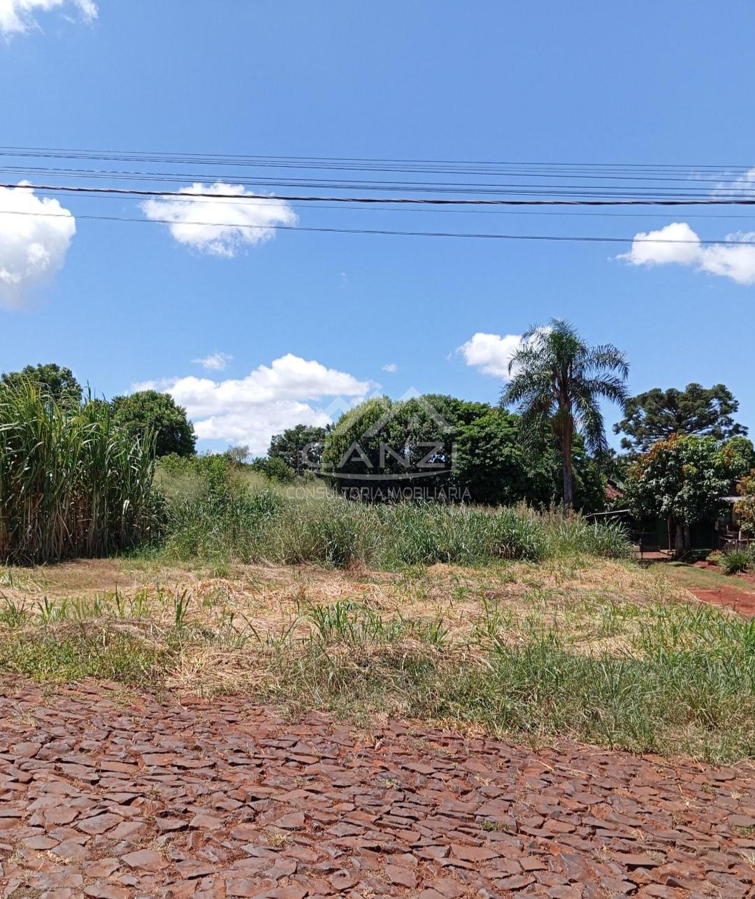 Canzi Consultoria Imobiliria em Realeza PR