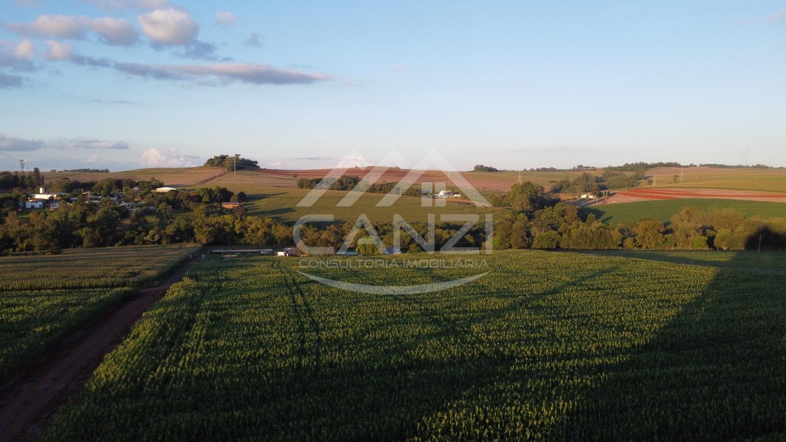 Canzi Consultoria Imobiliria em Realeza PR