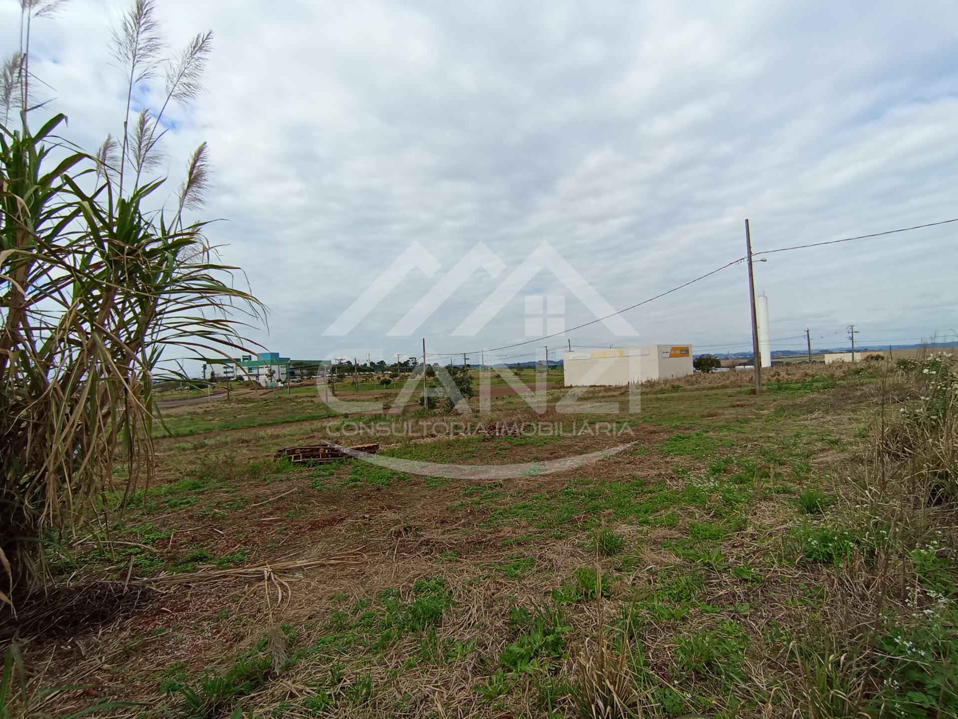 Canzi Consultoria Imobiliria em Realeza PR