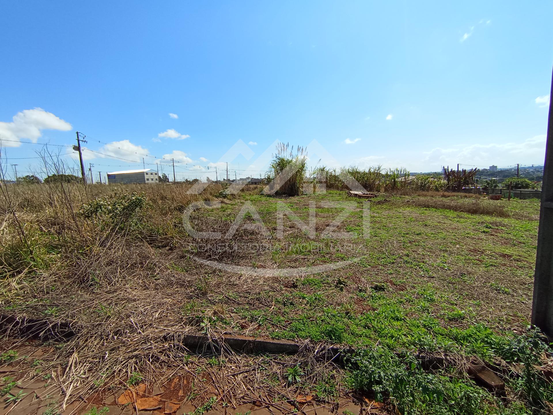 Canzi Consultoria Imobiliria em Realeza PR