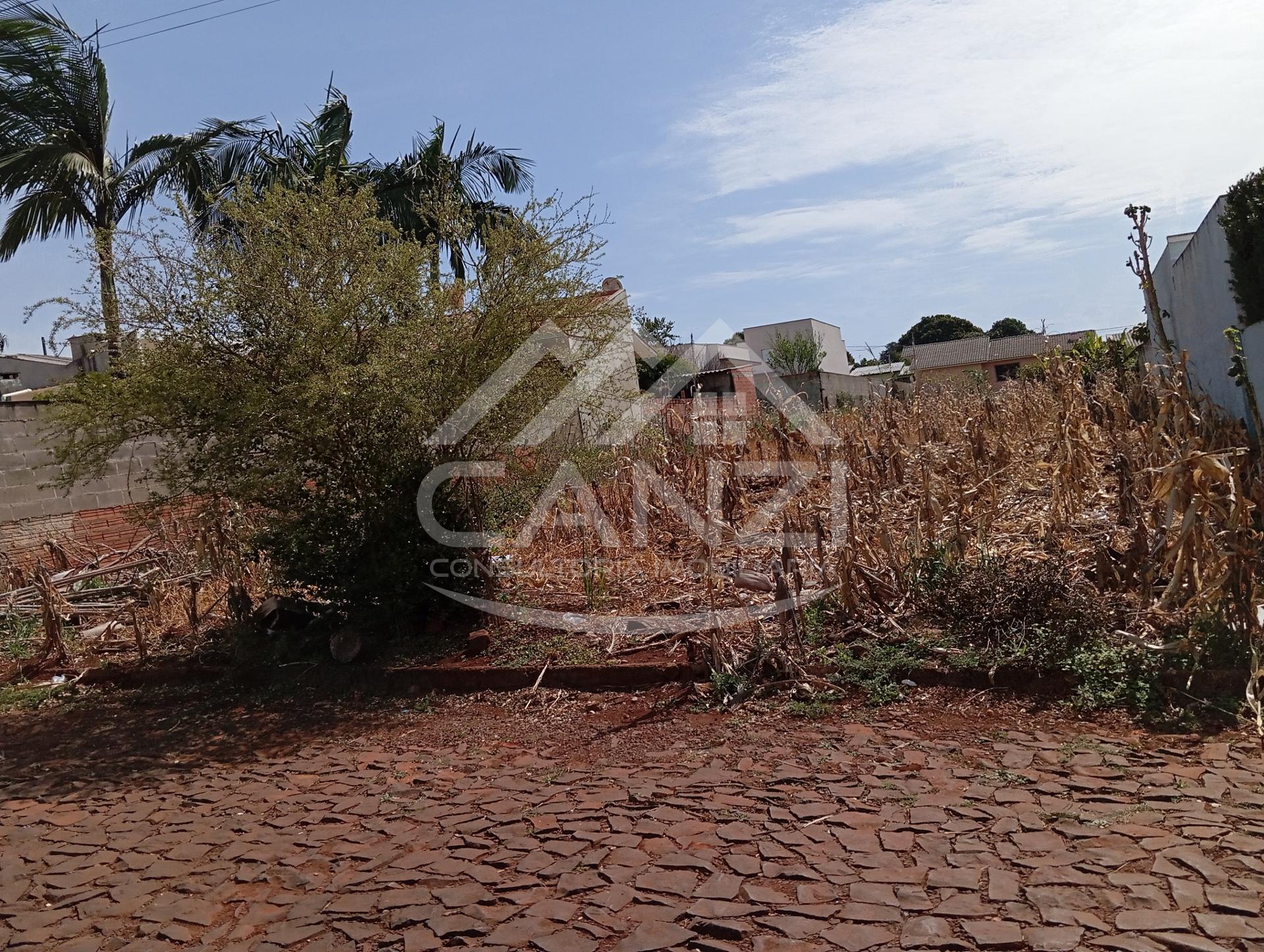 Canzi Consultoria Imobiliria em Realeza PR