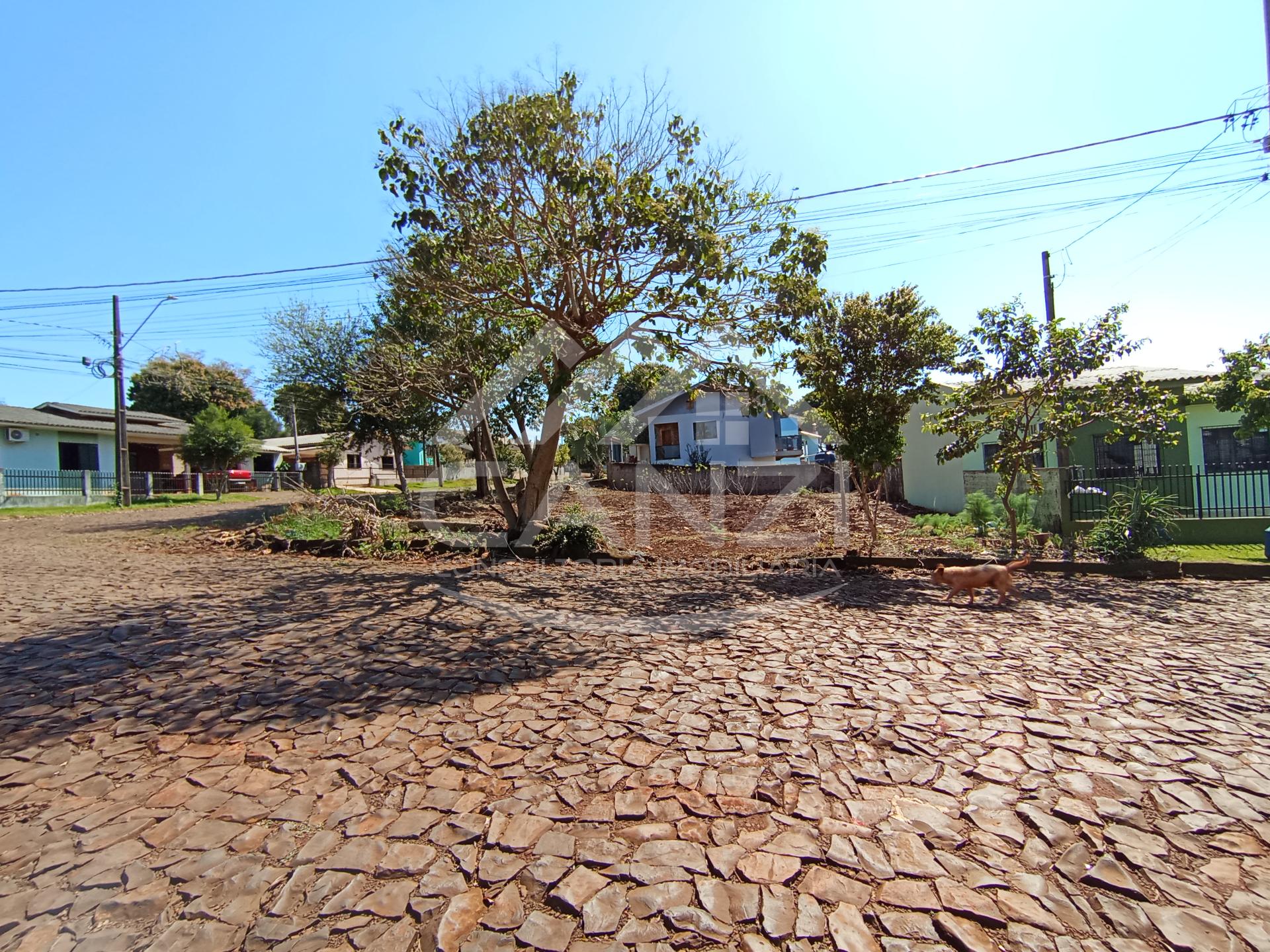 Canzi Consultoria Imobiliria em Realeza PR