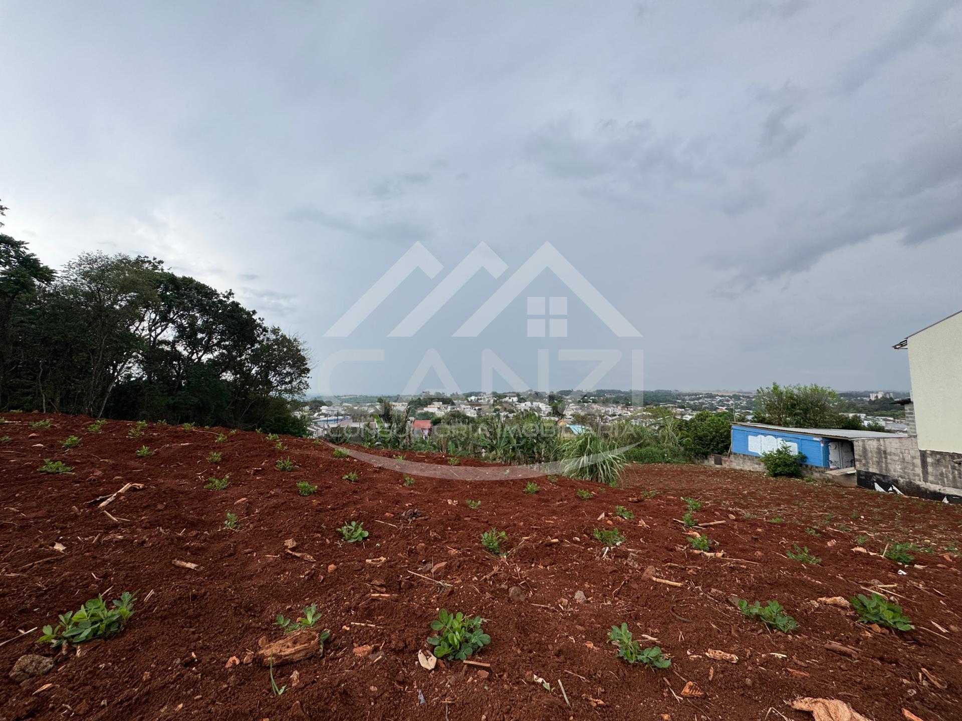 Canzi Consultoria Imobiliria em Realeza PR