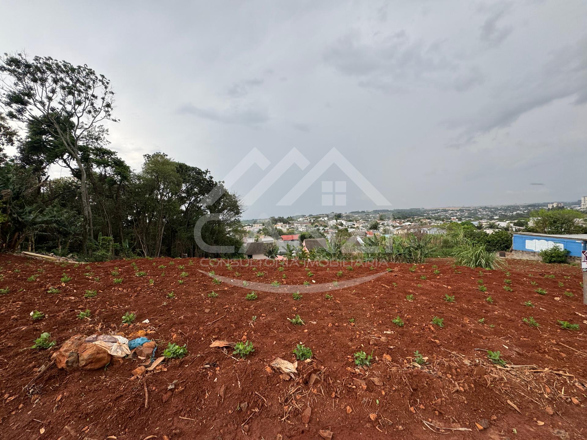 Canzi Consultoria Imobiliria em Realeza PR