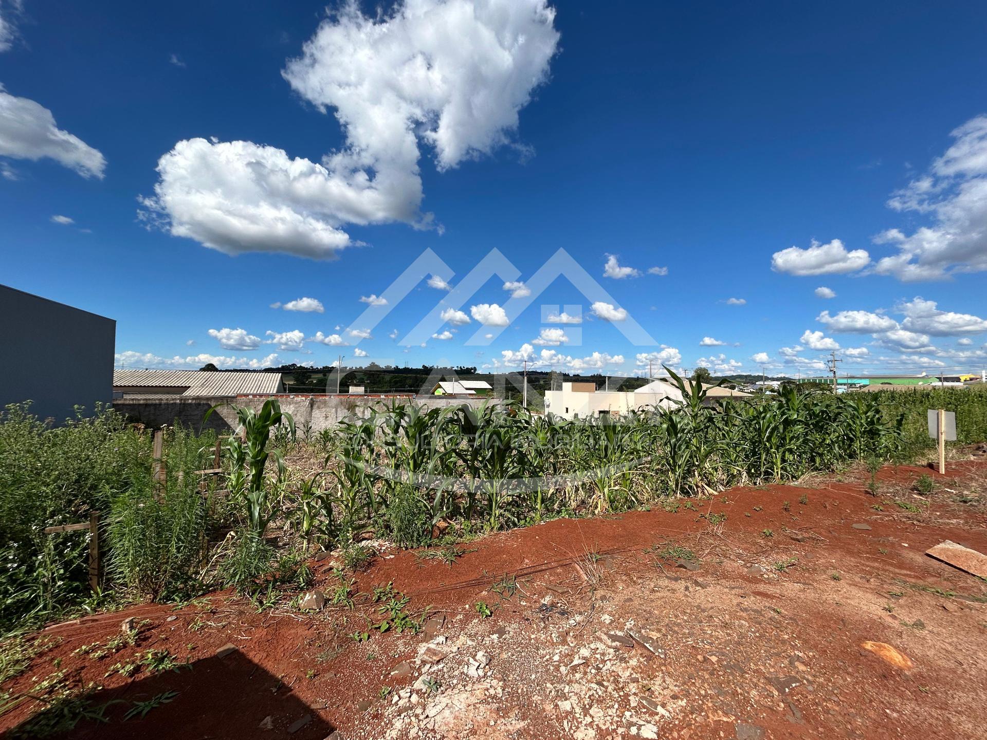 Terreno  venda, Coohabel, SANTA IZABEL DO OESTE - PR