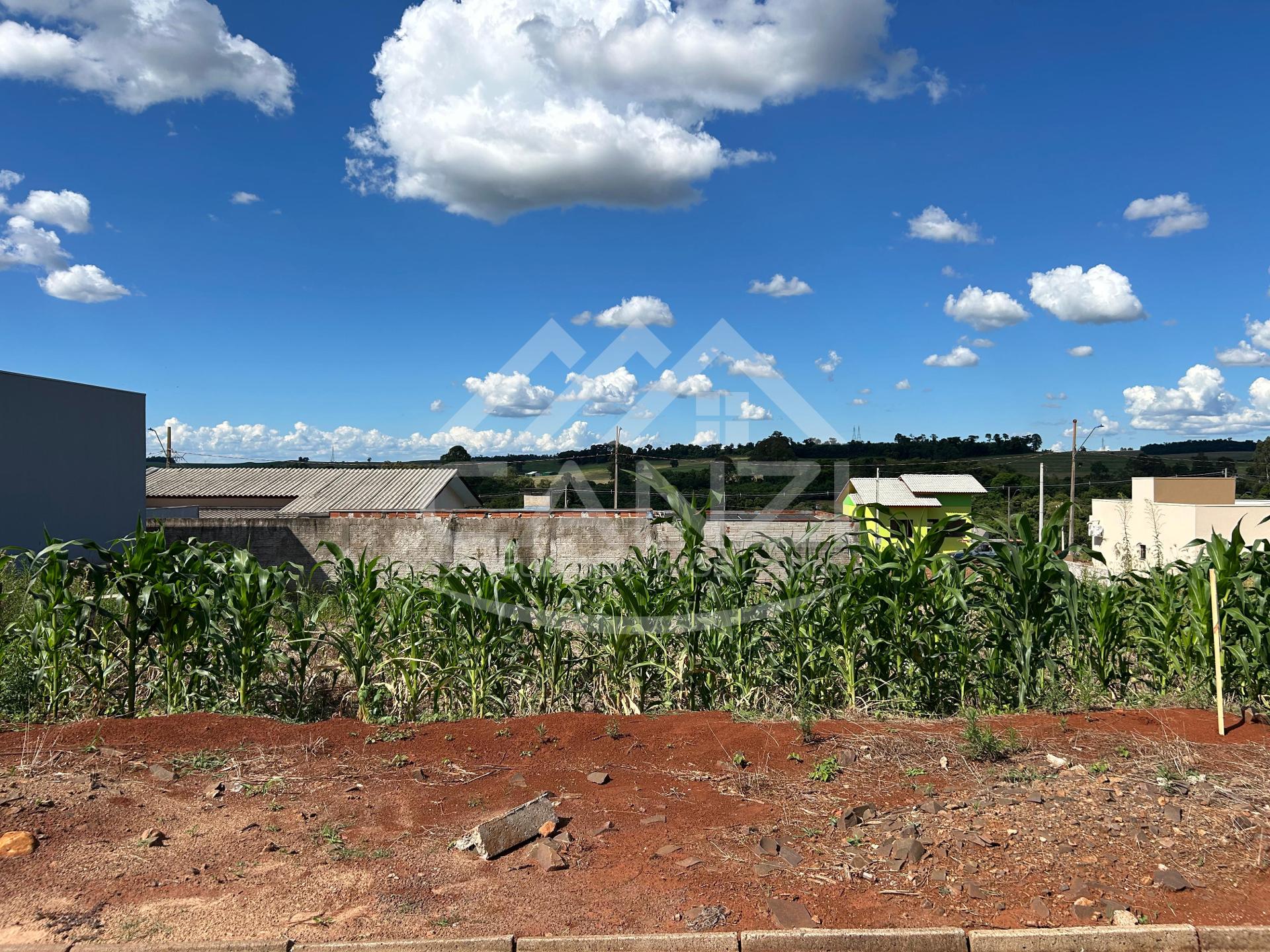 Canzi Consultoria Imobili�ria em Realeza PR