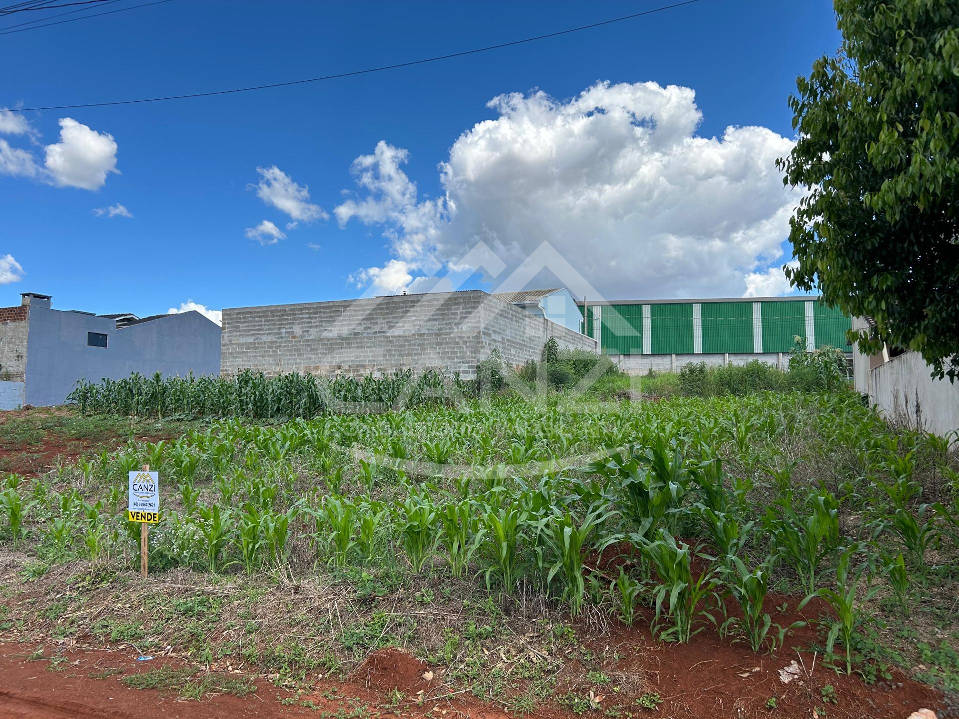 Canzi Consultoria Imobili�ria em Realeza PR