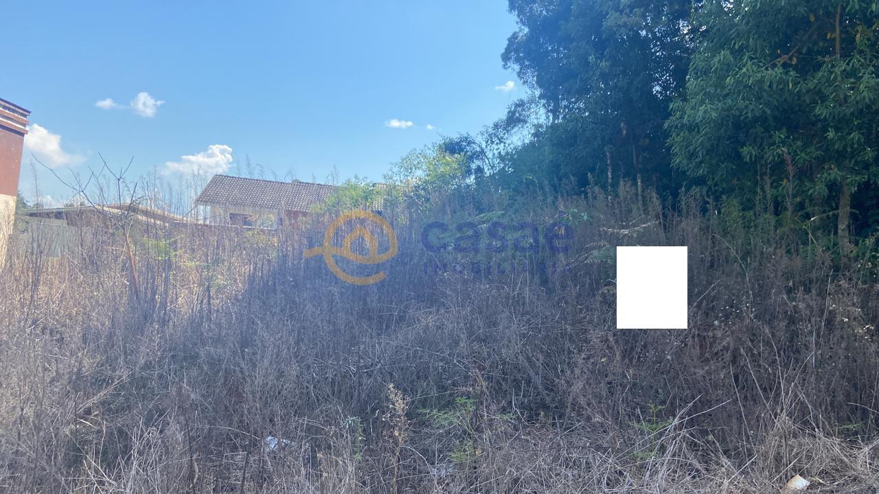 Lote  venda, Primo Tacca, XANXERE - SC