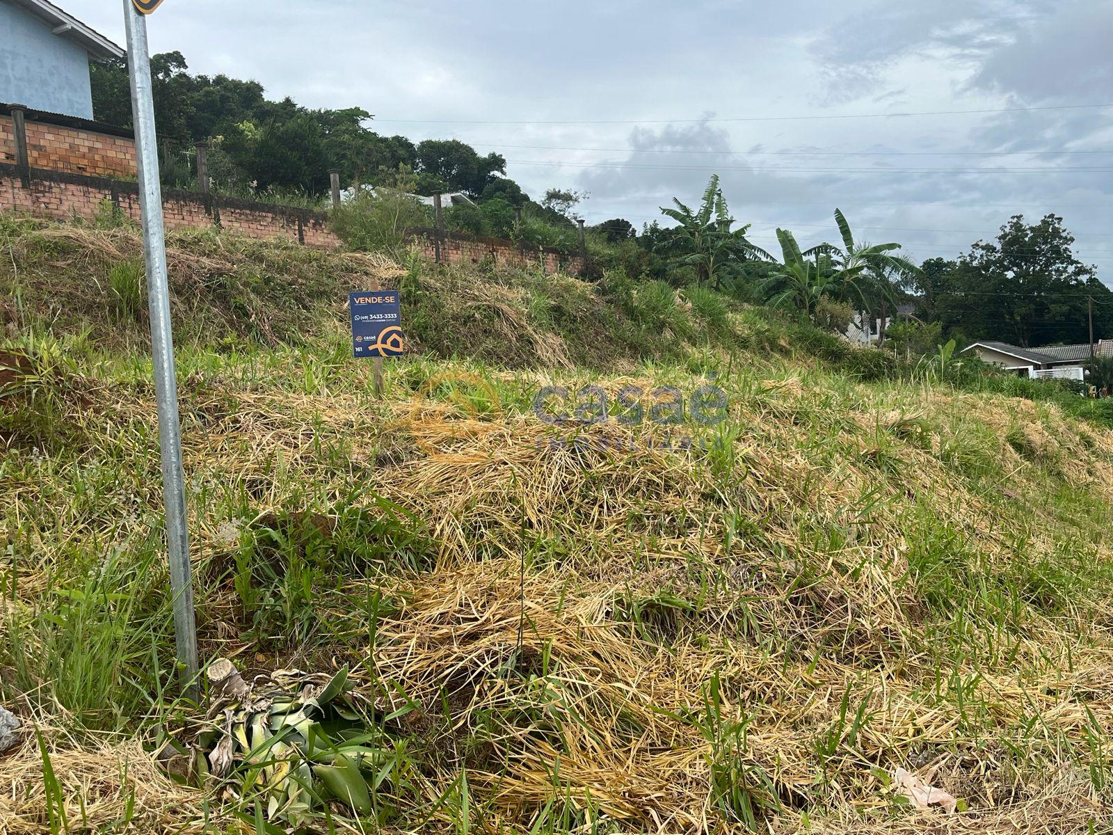 Lote  venda, Primo Tacca, XANXERE - SC