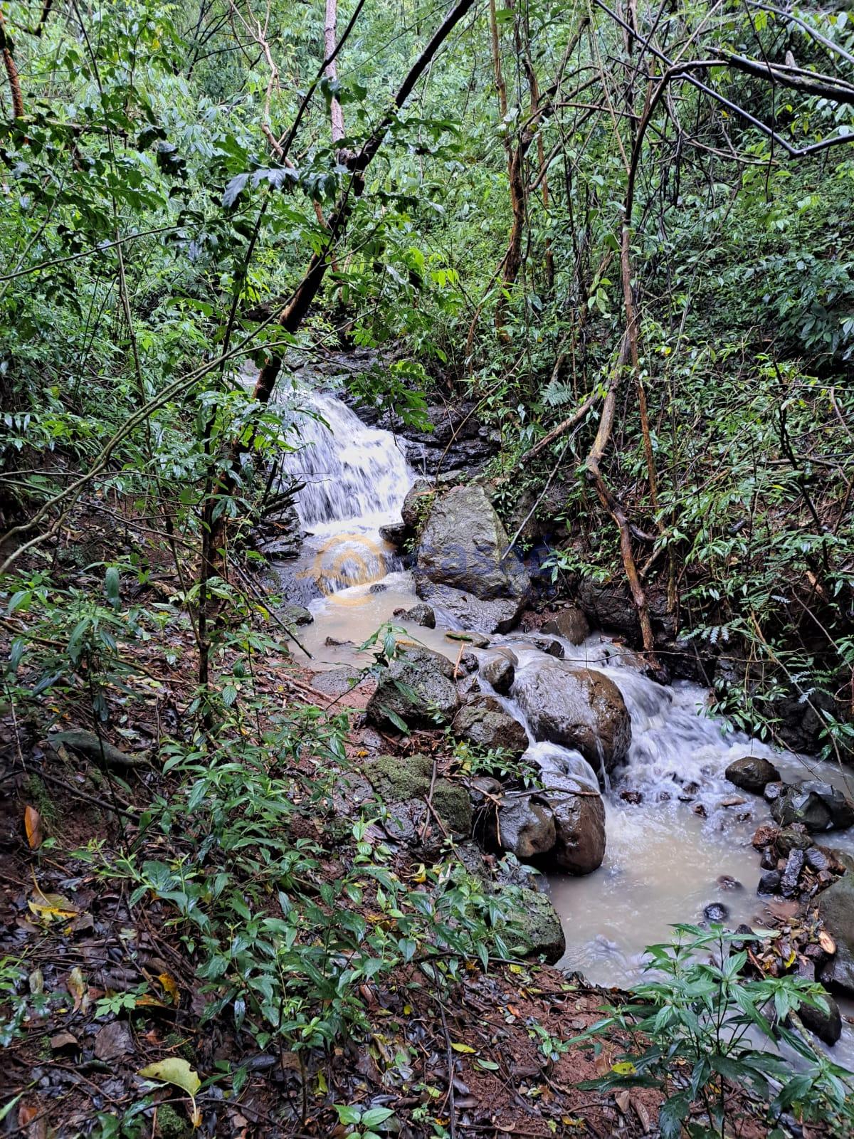 Área de terra com excelente localização, com mais de 4 hectares.