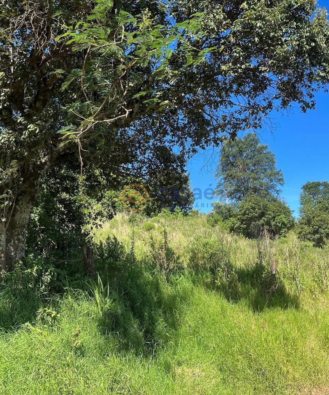 Rural  venda, INTERIOR, XANXERE - SC