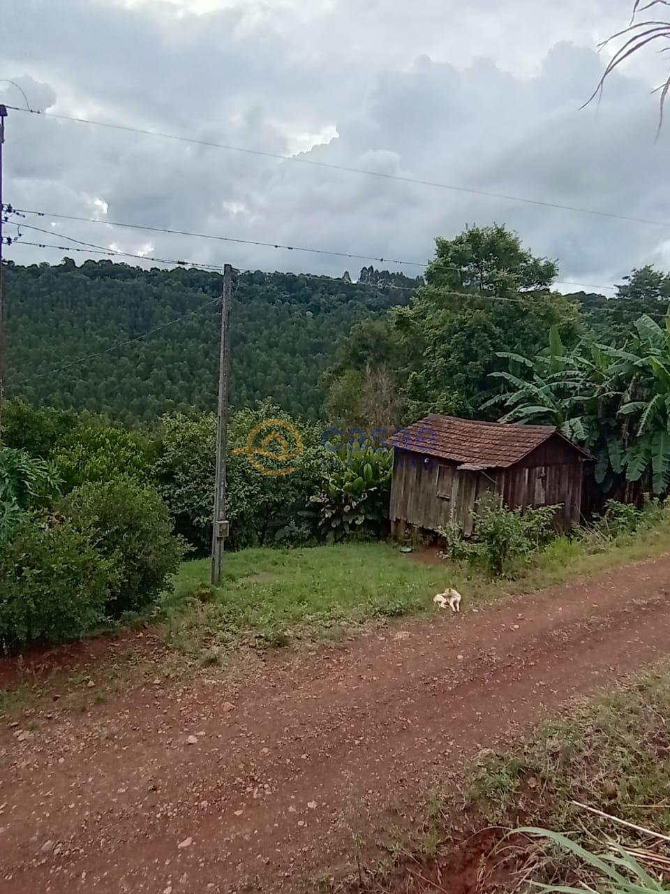 Sitio á venda no interior de Xanxerê