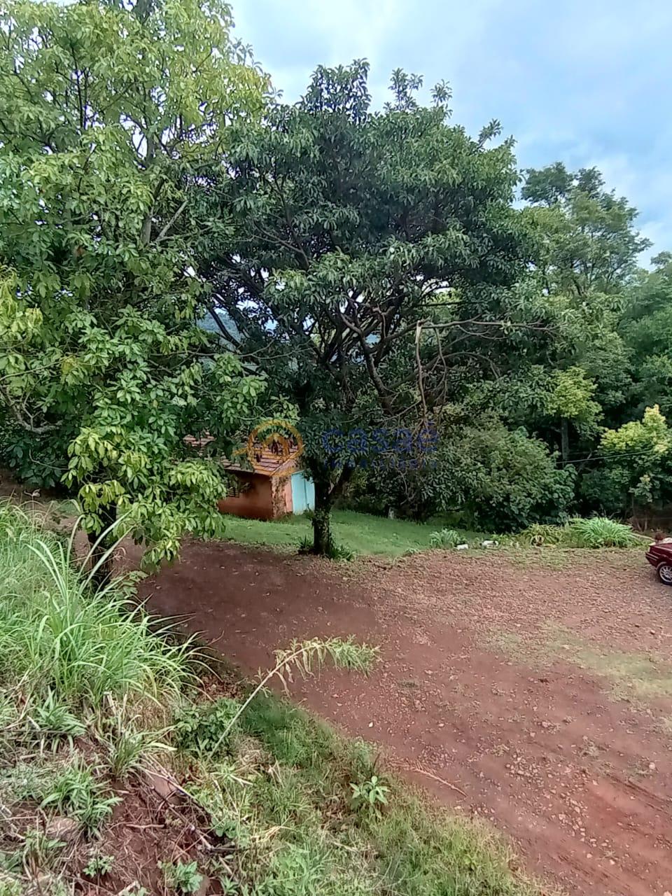 Sitio á venda no interior de Xanxerê