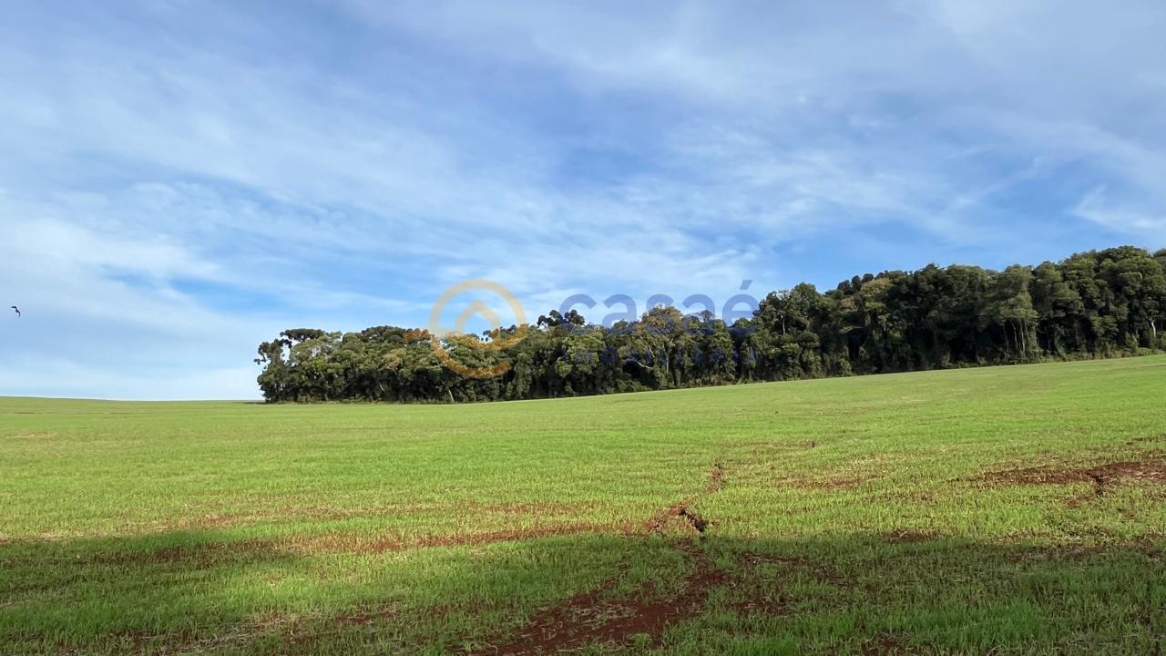 Área Rural à venda, com Terreno amplo e limpo INTERIOR, XANXER...