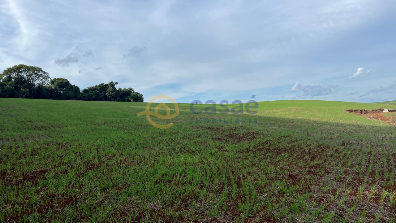 Área Rural à venda, com Terreno amplo e limpo INTERIOR, XANXER...
