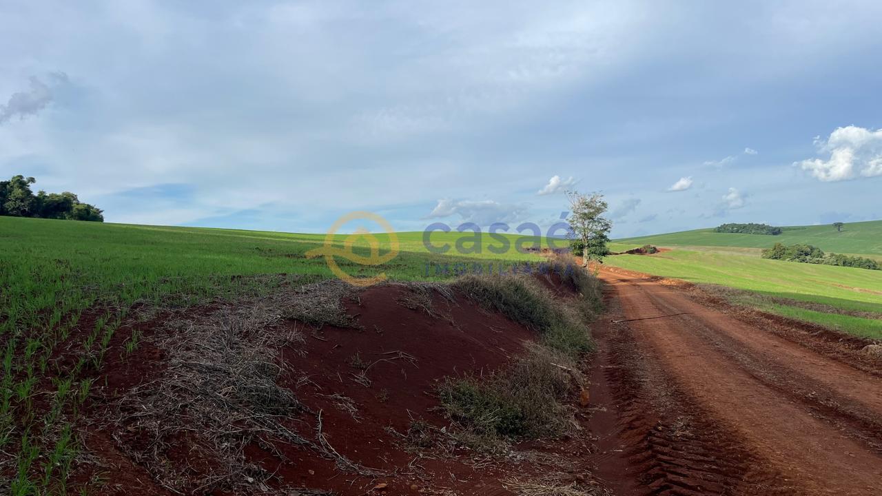 Área Rural à venda, com Terreno amplo e limpo INTERIOR, XANXER...