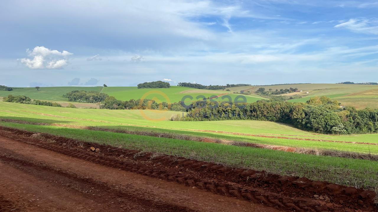 Área Rural à venda, com Terreno amplo e limpo INTERIOR, XANXER...