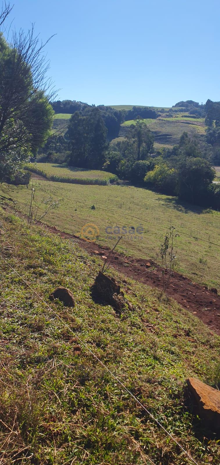 fazenda - Propriedade com 5,065 hectares no interior de Abelardo Luz
