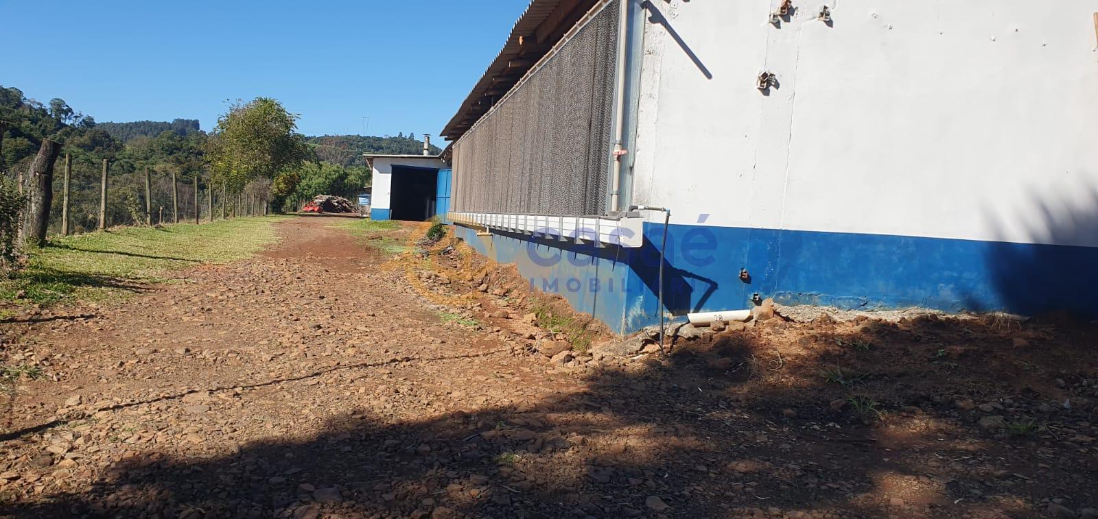 fazenda - Propriedade com 5,065 hectares no interior de Abelardo Luz