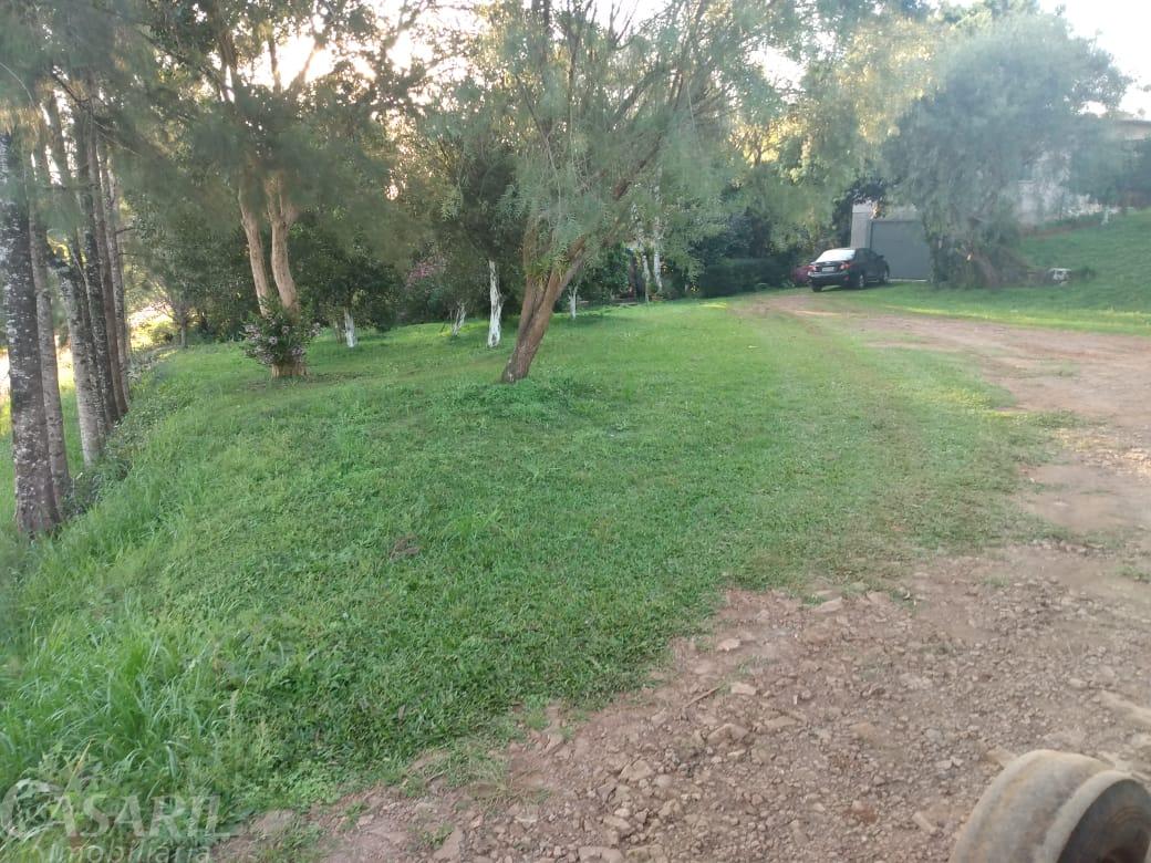 Investimento  Propriedade rural  venda no INTERIOR de FRANCISCO BELTRAO - PR