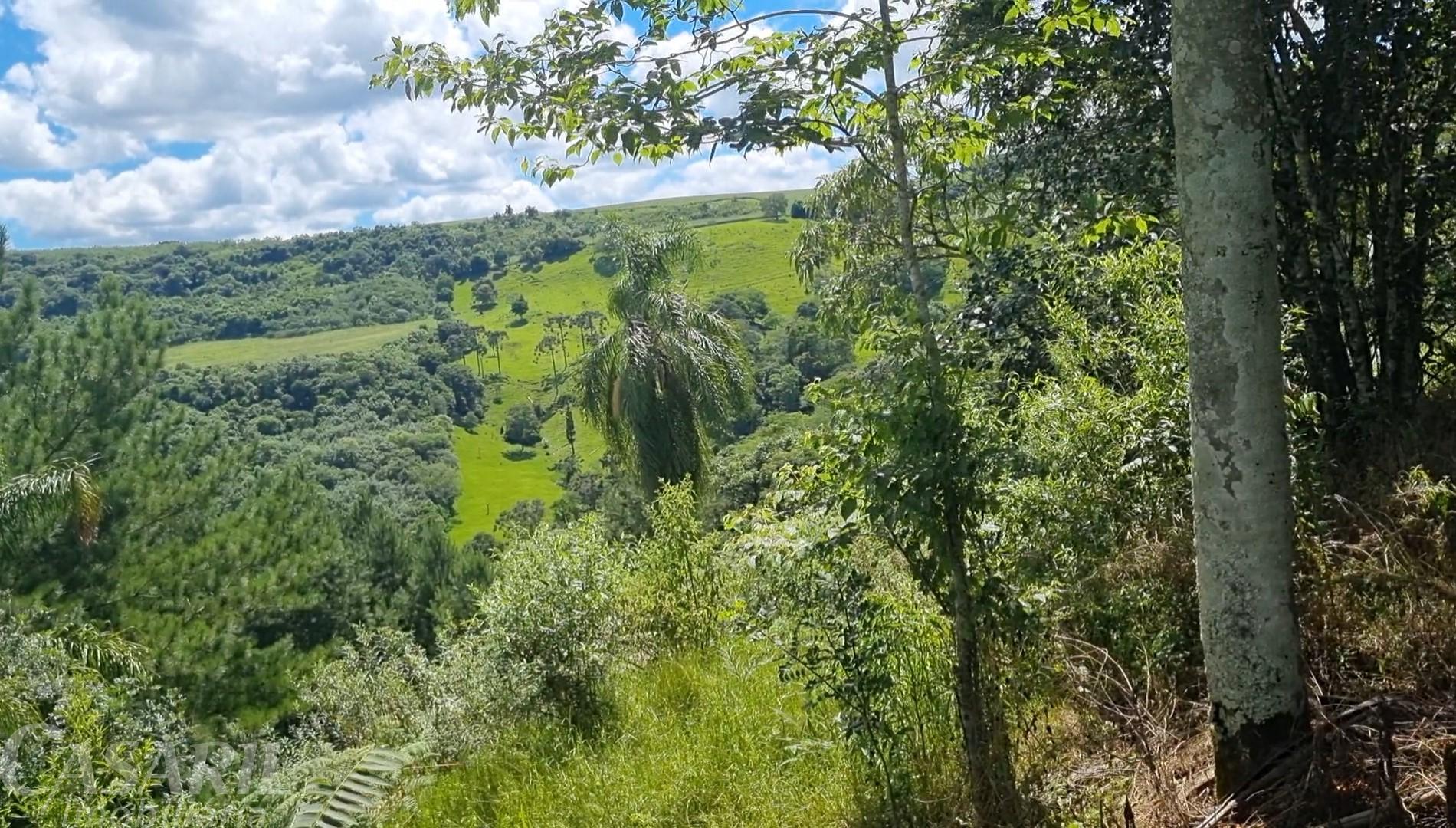 Vieira Imveis em Francisco Beltro PR