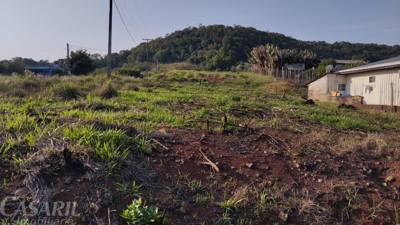 Terreno  venda,1000.00 m , INTERIOR, FRANCISCO BELTRAO - PR