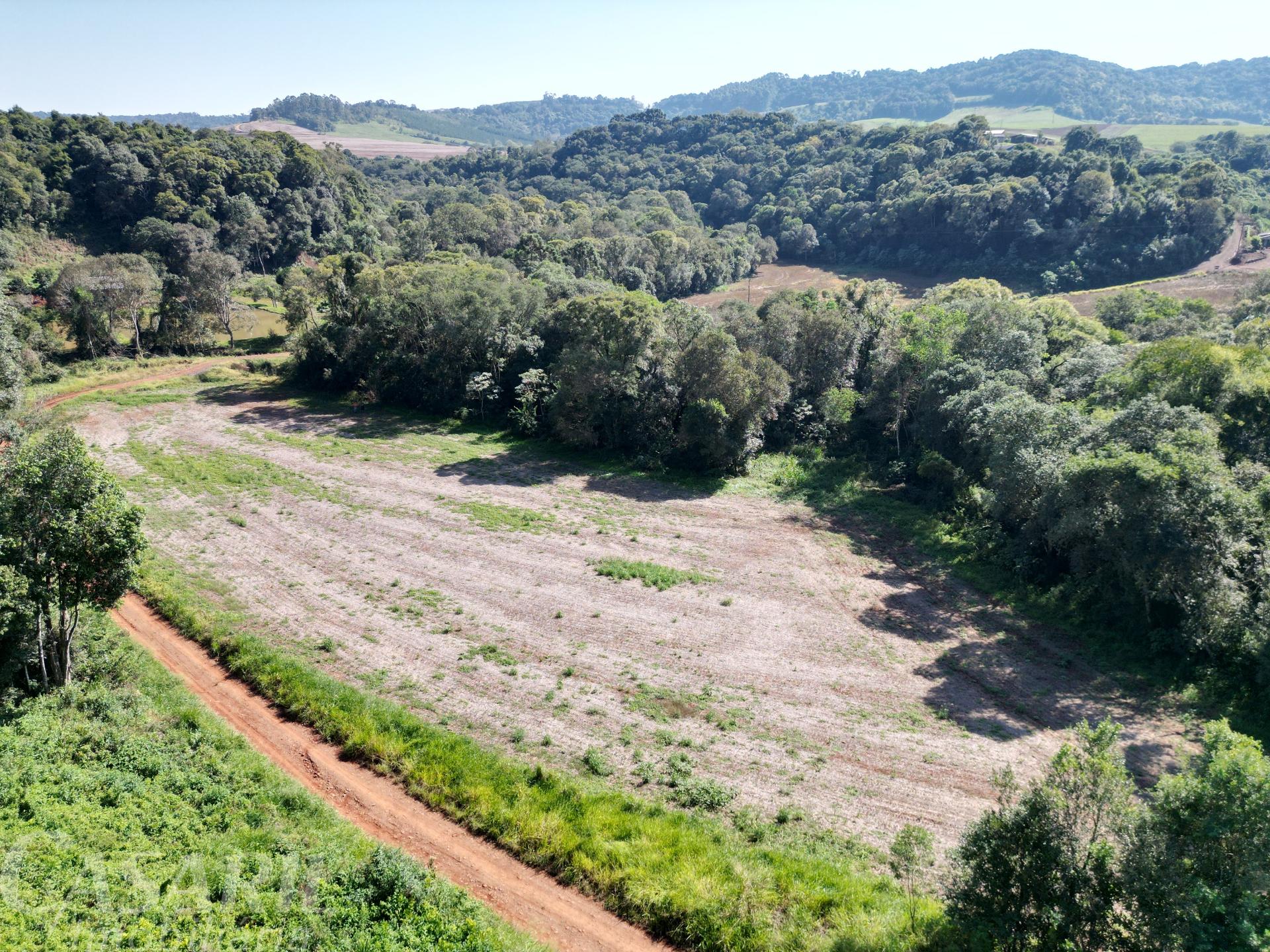 Chcara  venda com 20.000m , NOVA CONCORDIA, FRANCISCO BELTRAO - PR