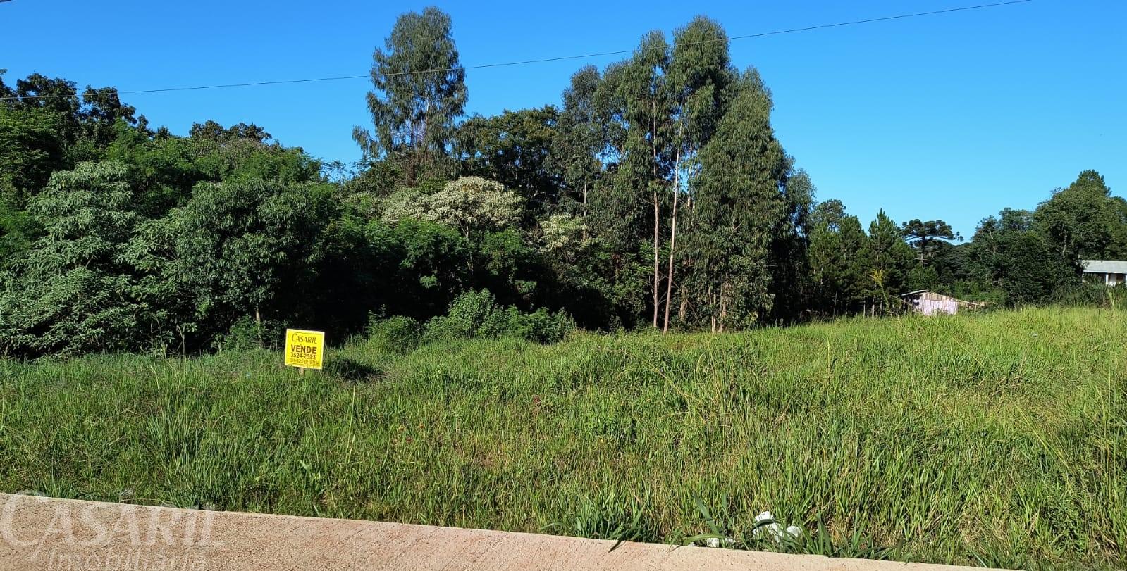 Terreno  venda, 2180.56 m , NOVA CONCORDIA, FRANCISCO BELTRAO - PR