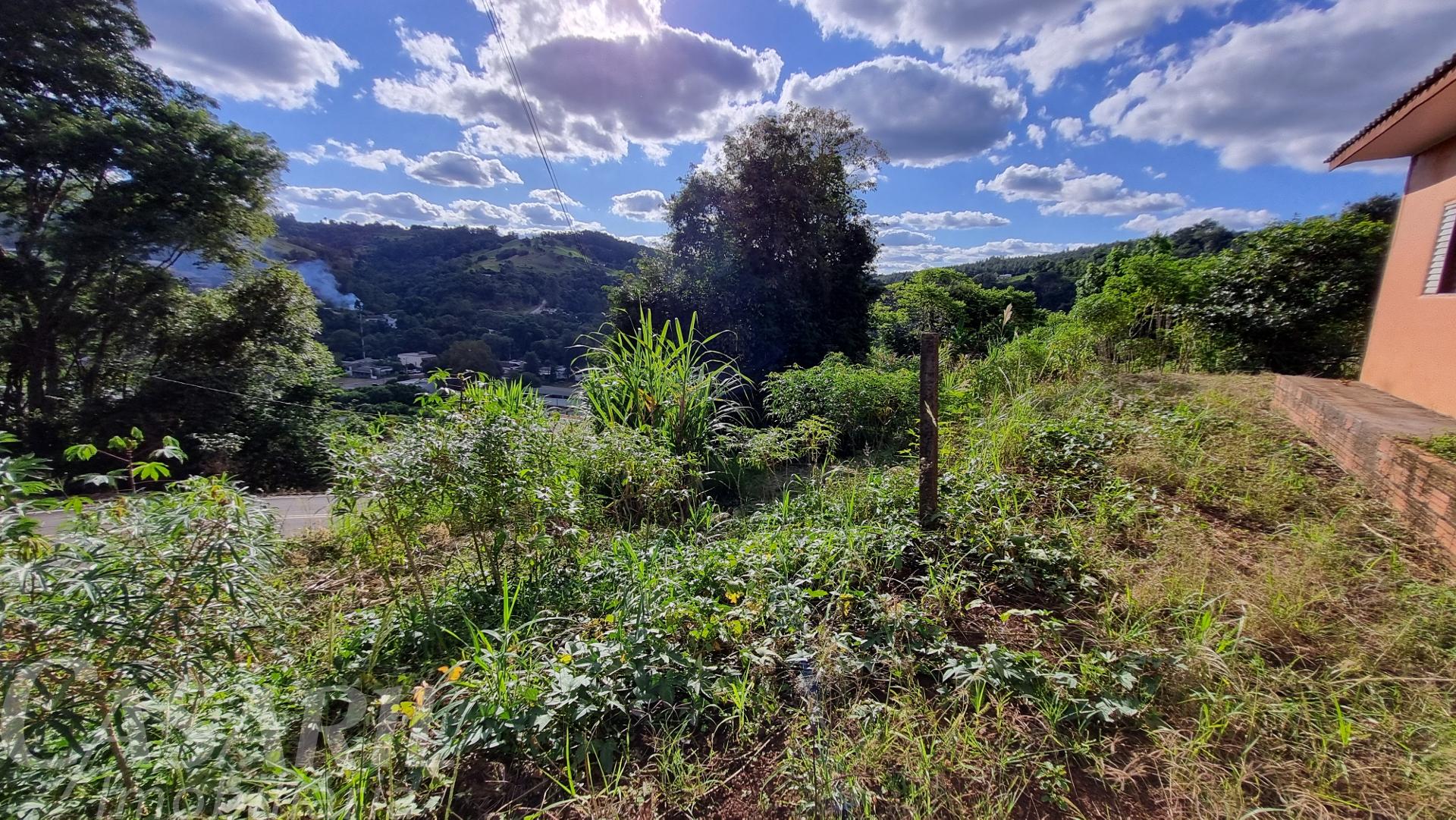 Vieira Imveis em Francisco Beltro PR