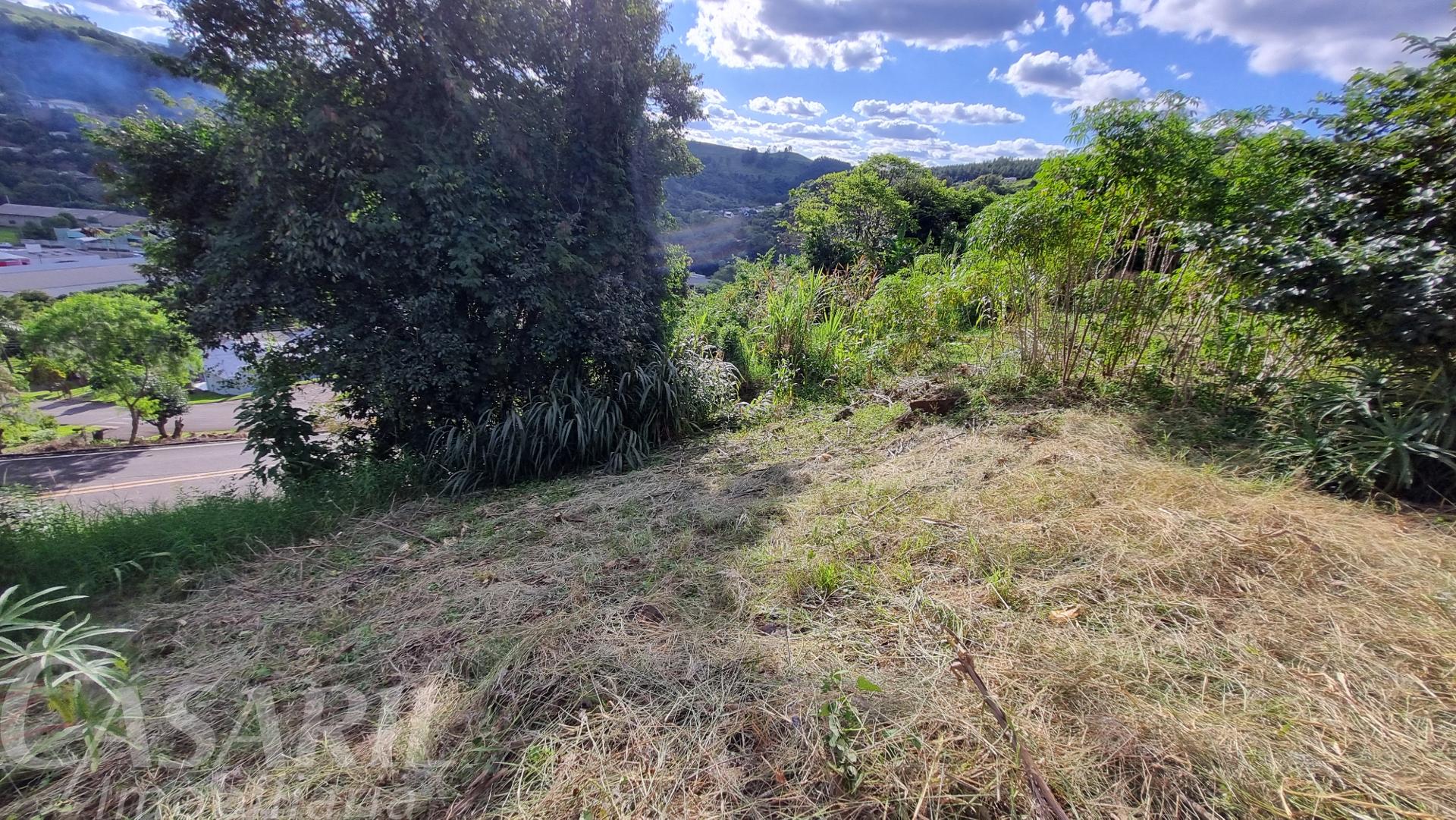 Vieira Imveis em Francisco Beltro PR