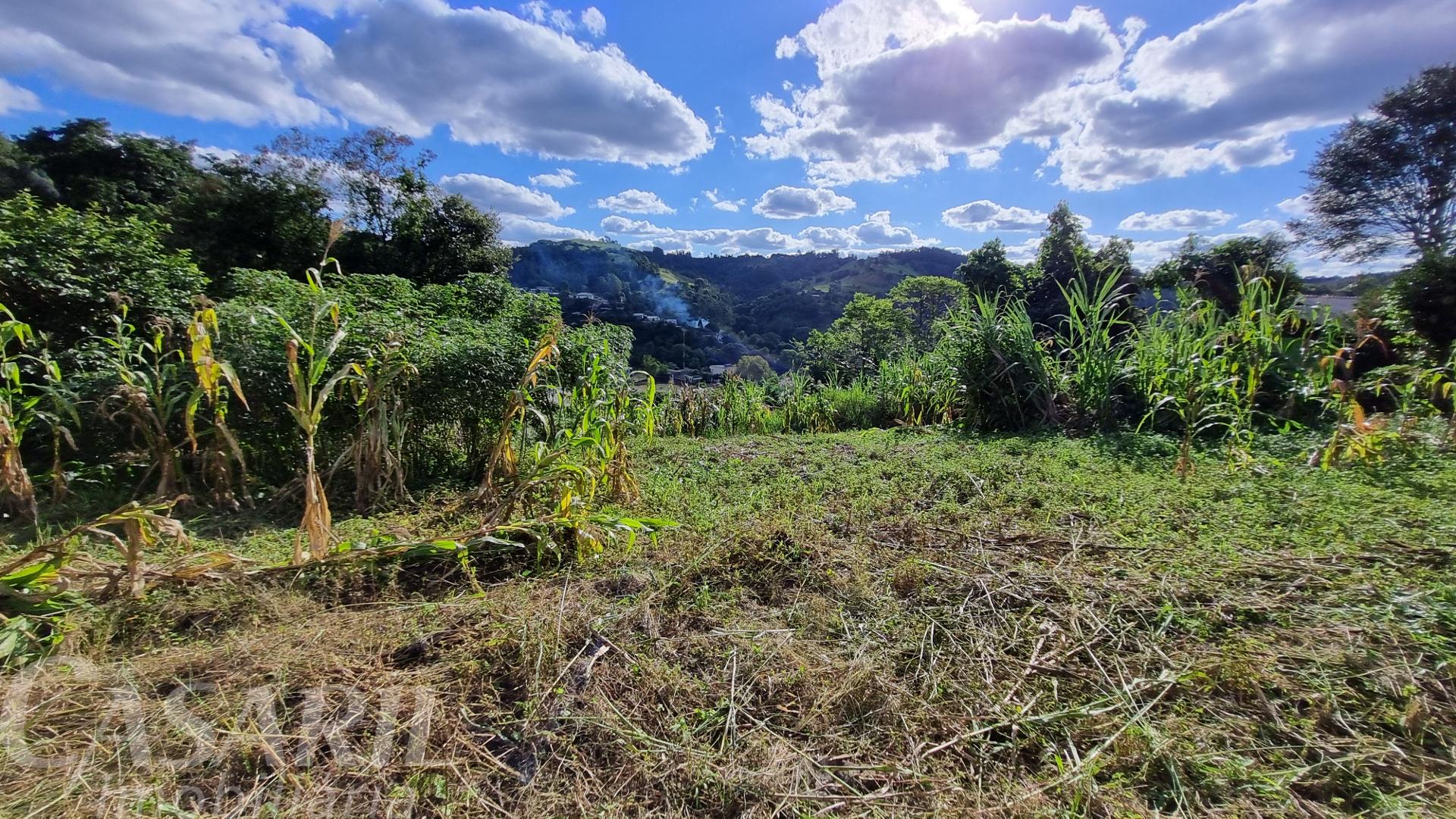 Vieira Imveis em Francisco Beltro PR