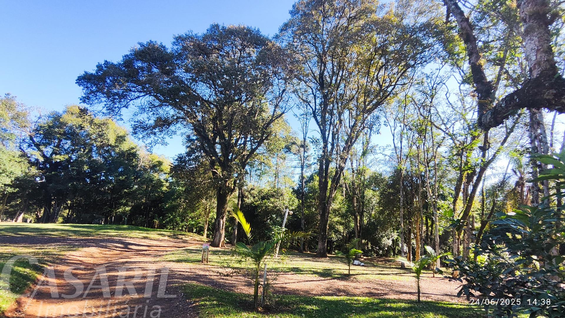 Vieira Imveis em Francisco Beltro PR