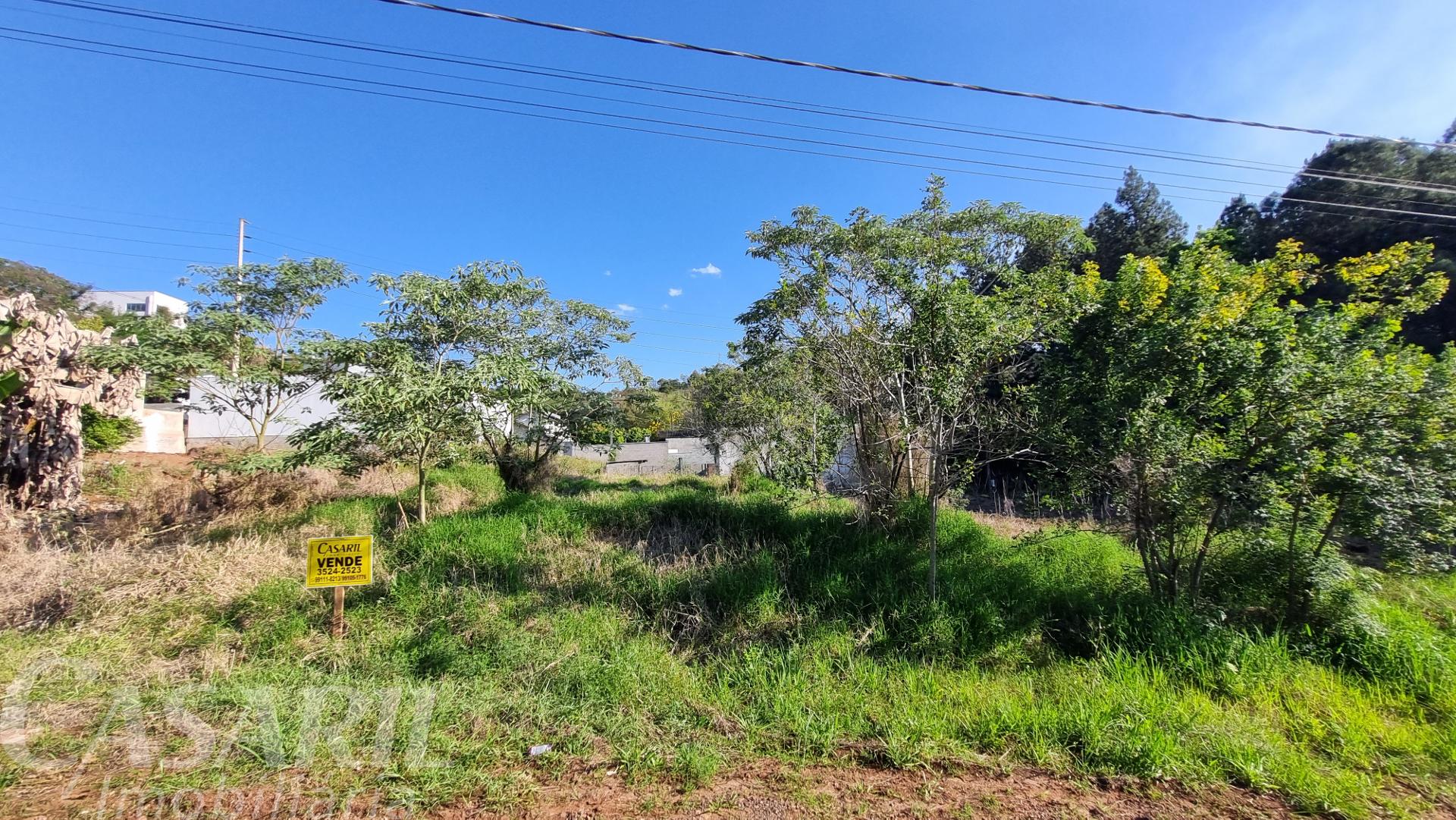 Vieira Imveis em Francisco Beltro PR