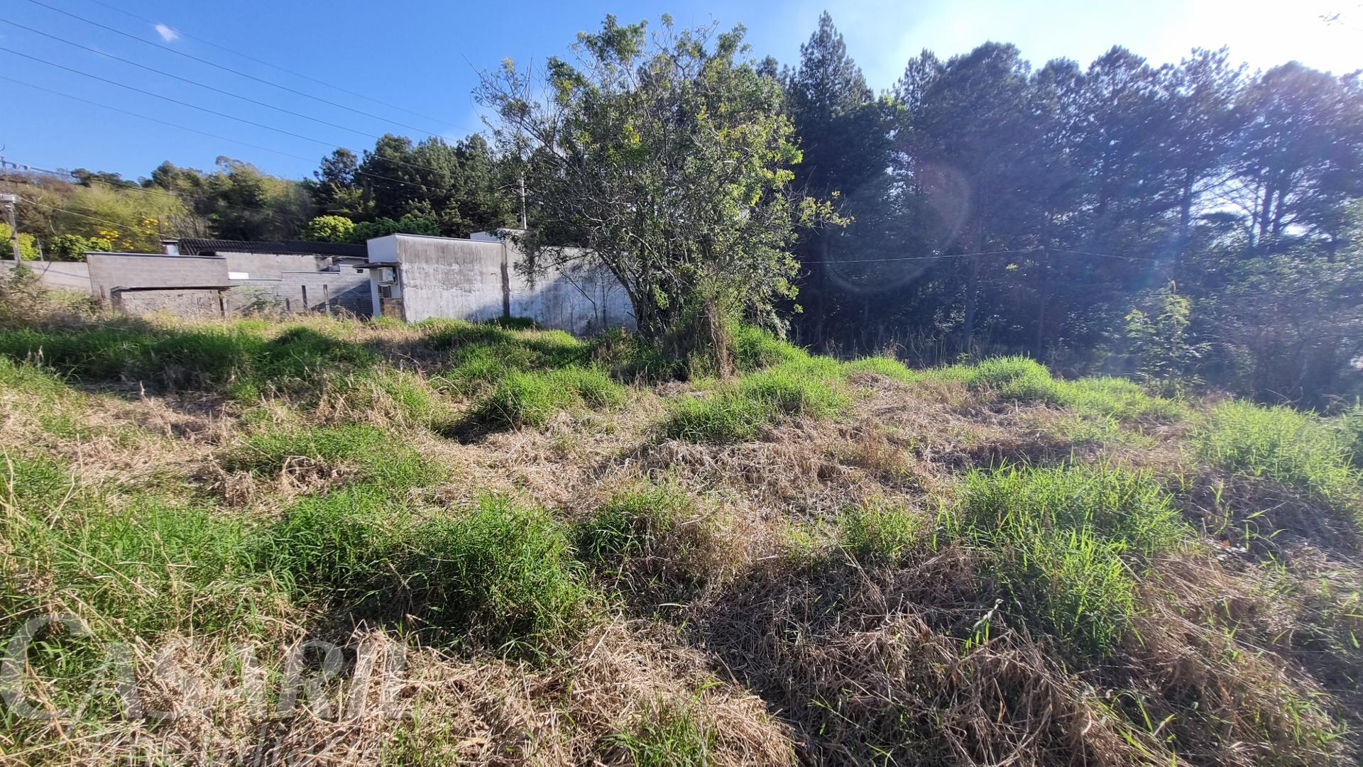 Vieira Imveis em Francisco Beltro PR