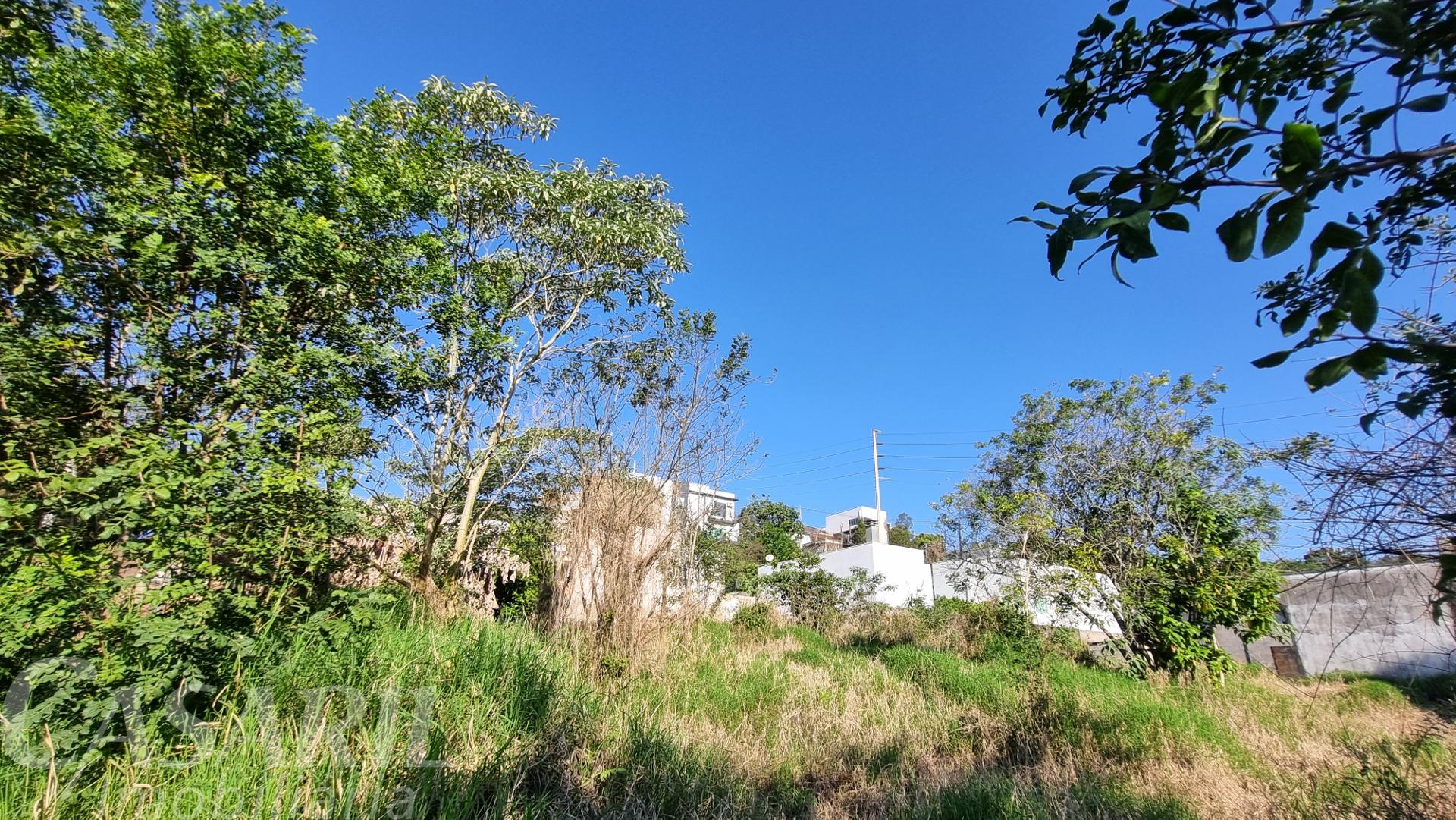 Vieira Imveis em Francisco Beltro PR