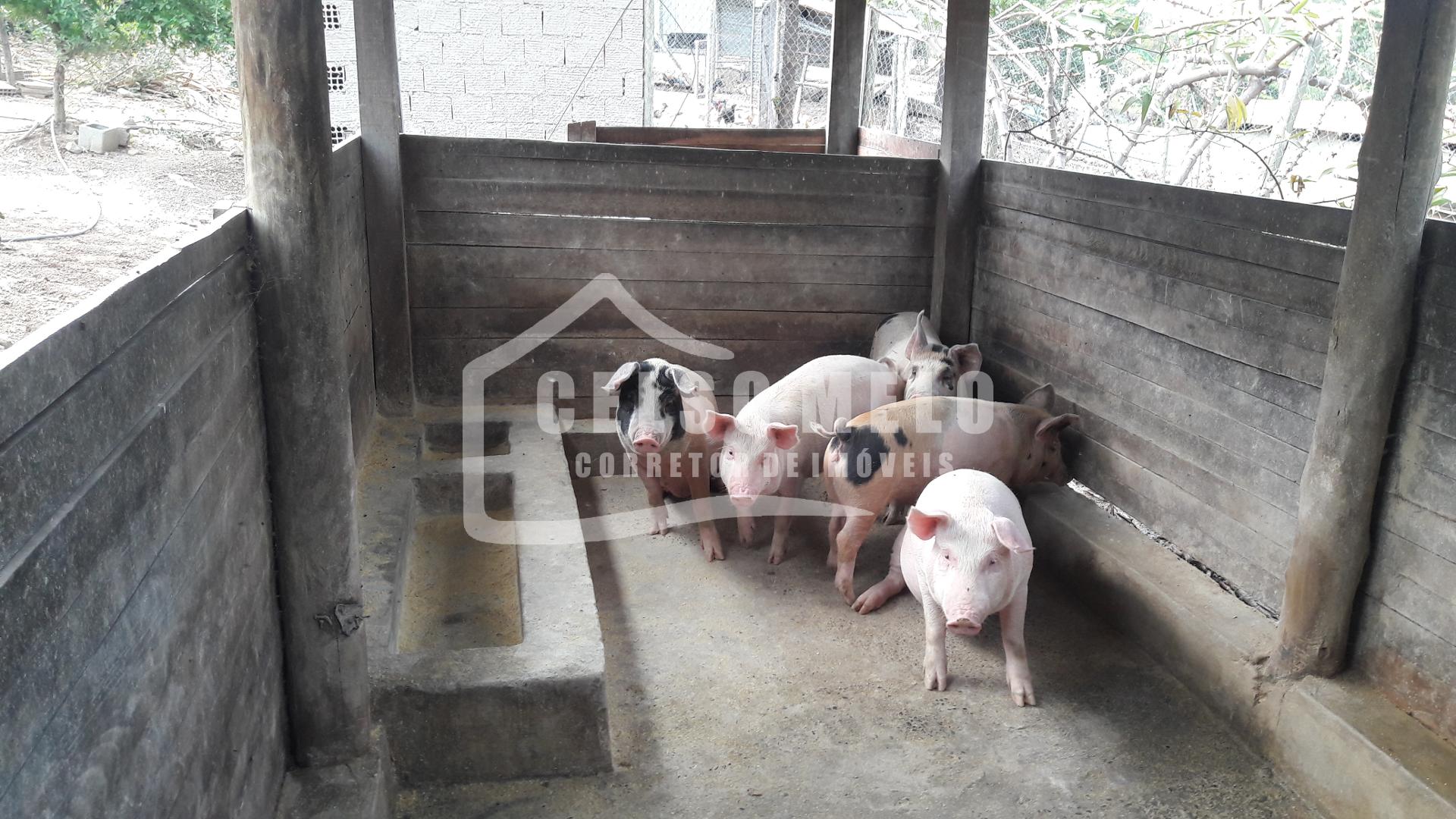 Celso Melo Corretor de Im�veis em Bom Despacho