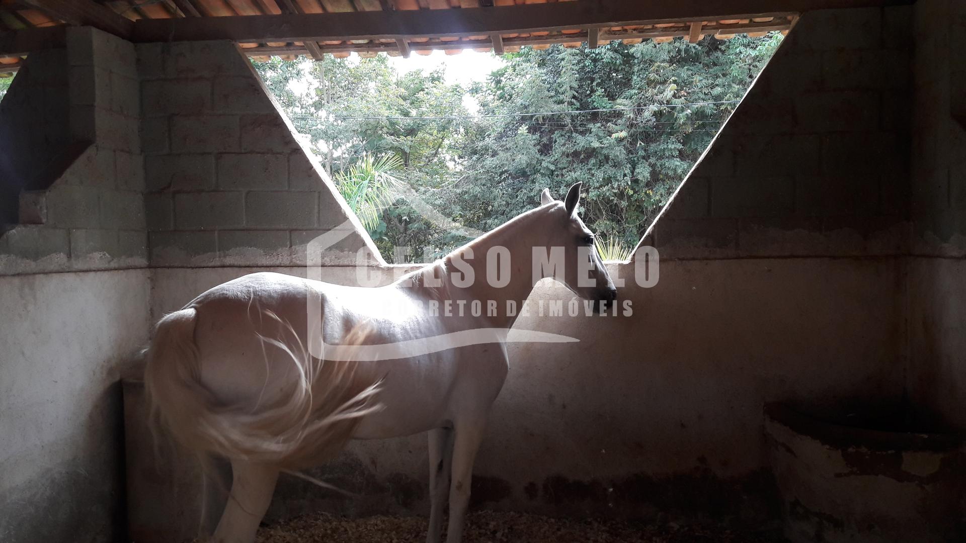 Celso Melo Corretor de Im�veis em Bom Despacho