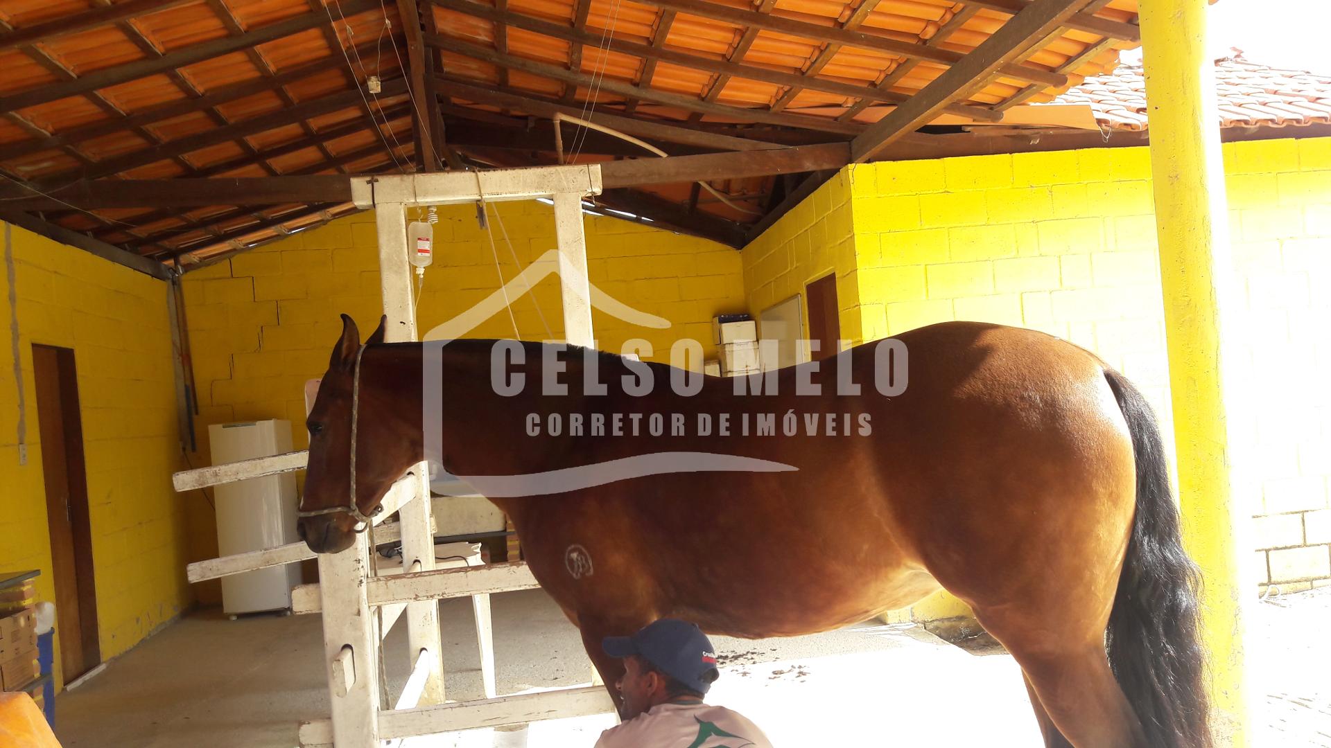 Celso Melo Corretor de Im�veis em Bom Despacho