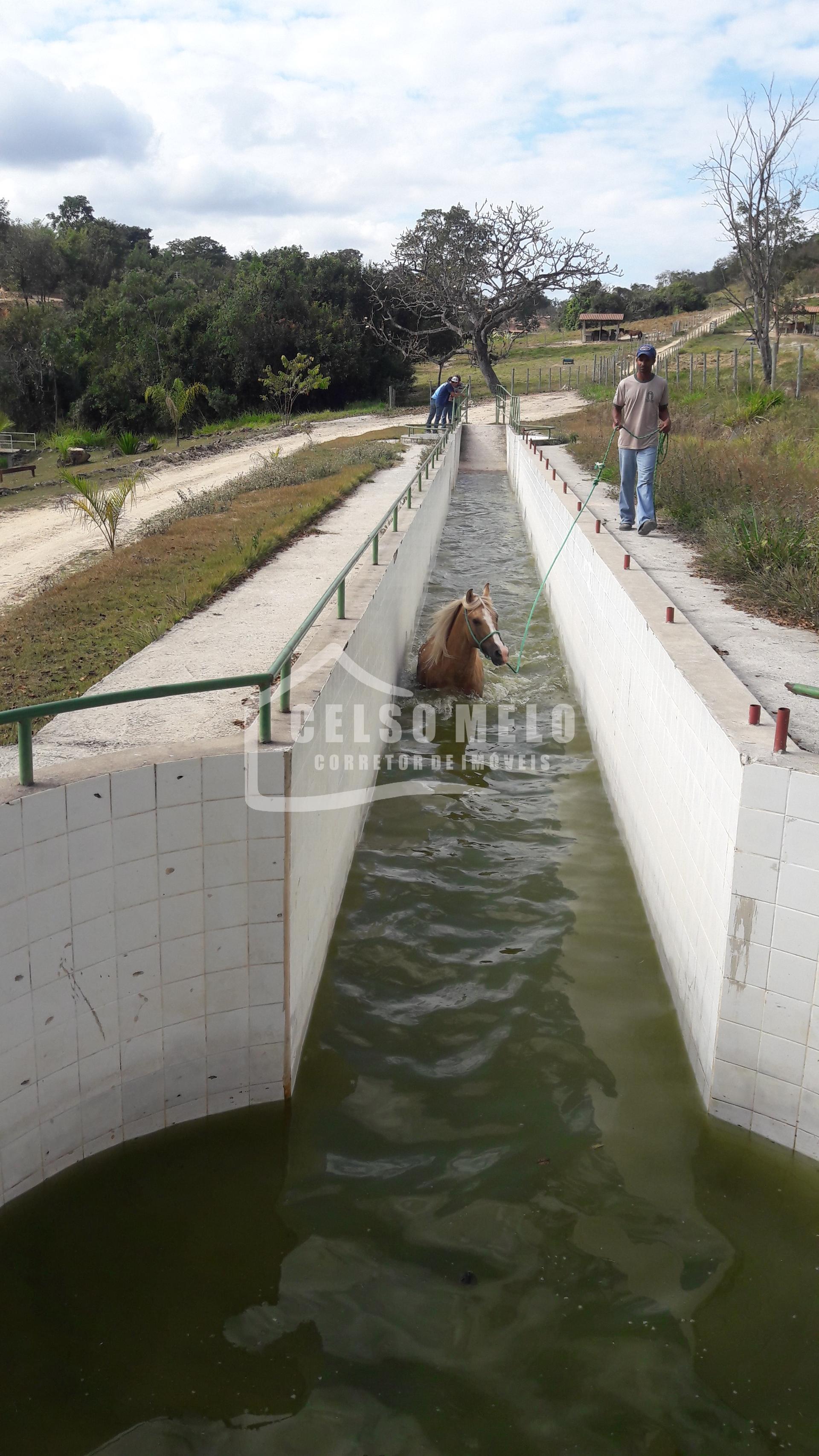 Celso Melo Corretor de Im�veis em Bom Despacho