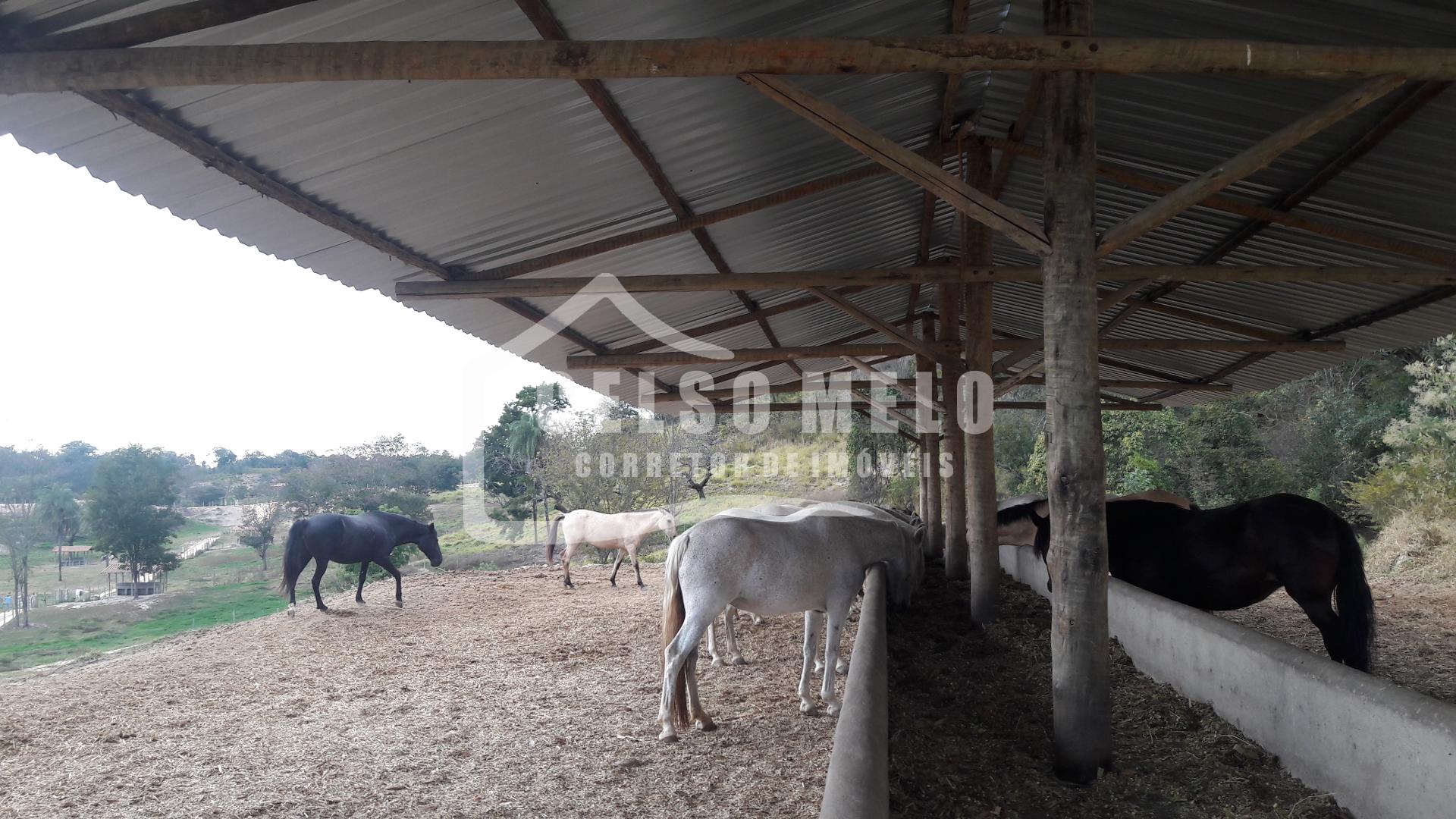 Celso Melo Corretor de Im�veis em Bom Despacho