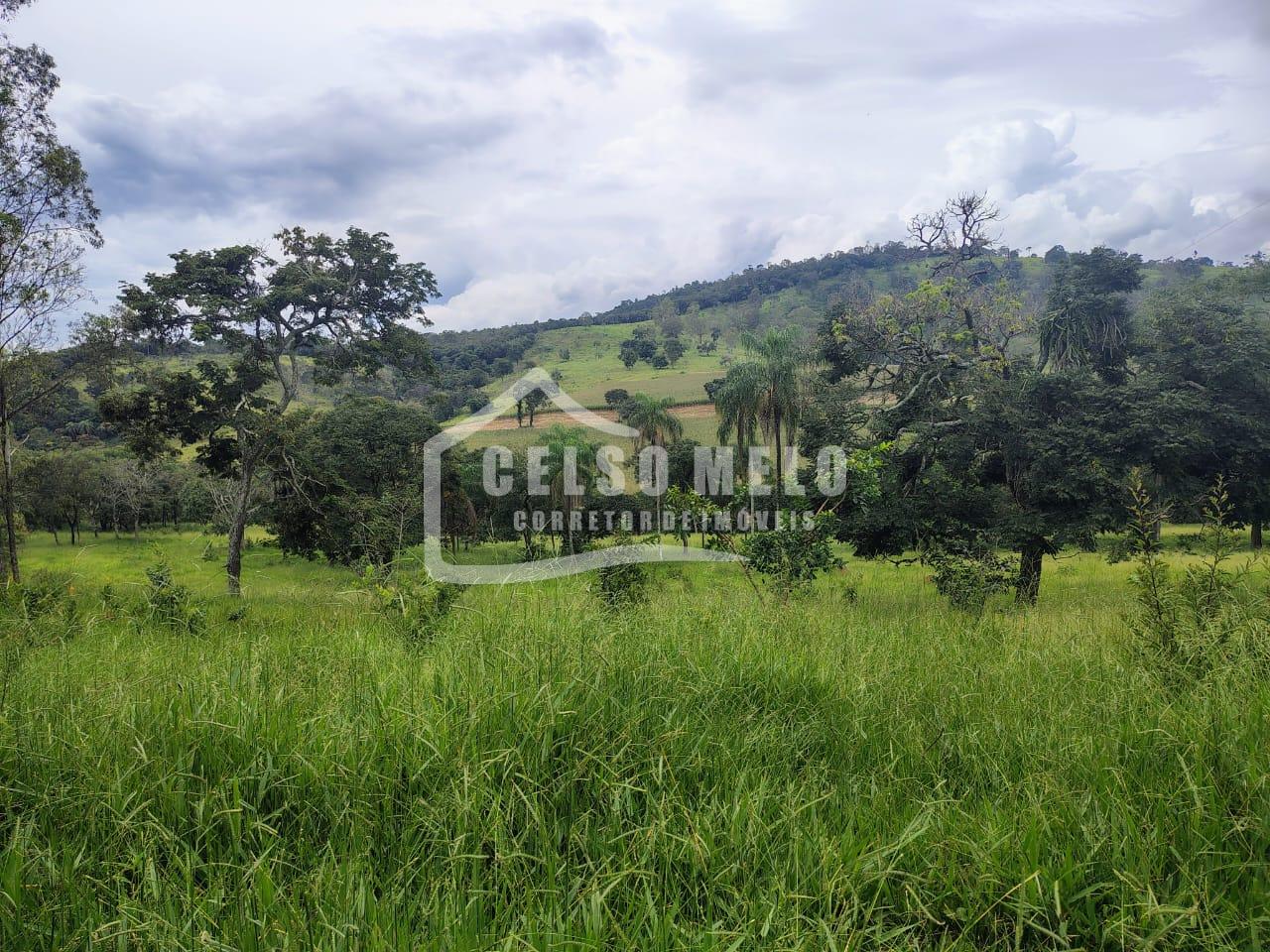 FAZENDA � VENDA  78 HA EM ITAUNA  - MG