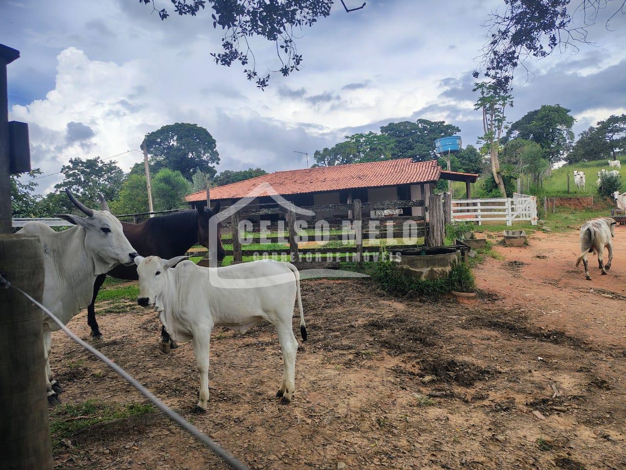 Celso Melo Corretor de Im�veis em Bom Despacho