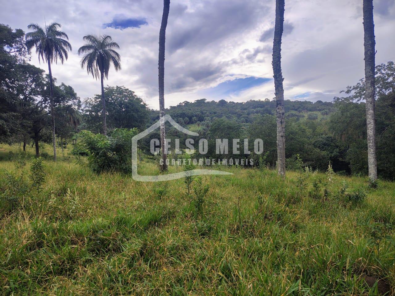 Celso Melo Corretor de Im�veis em Bom Despacho