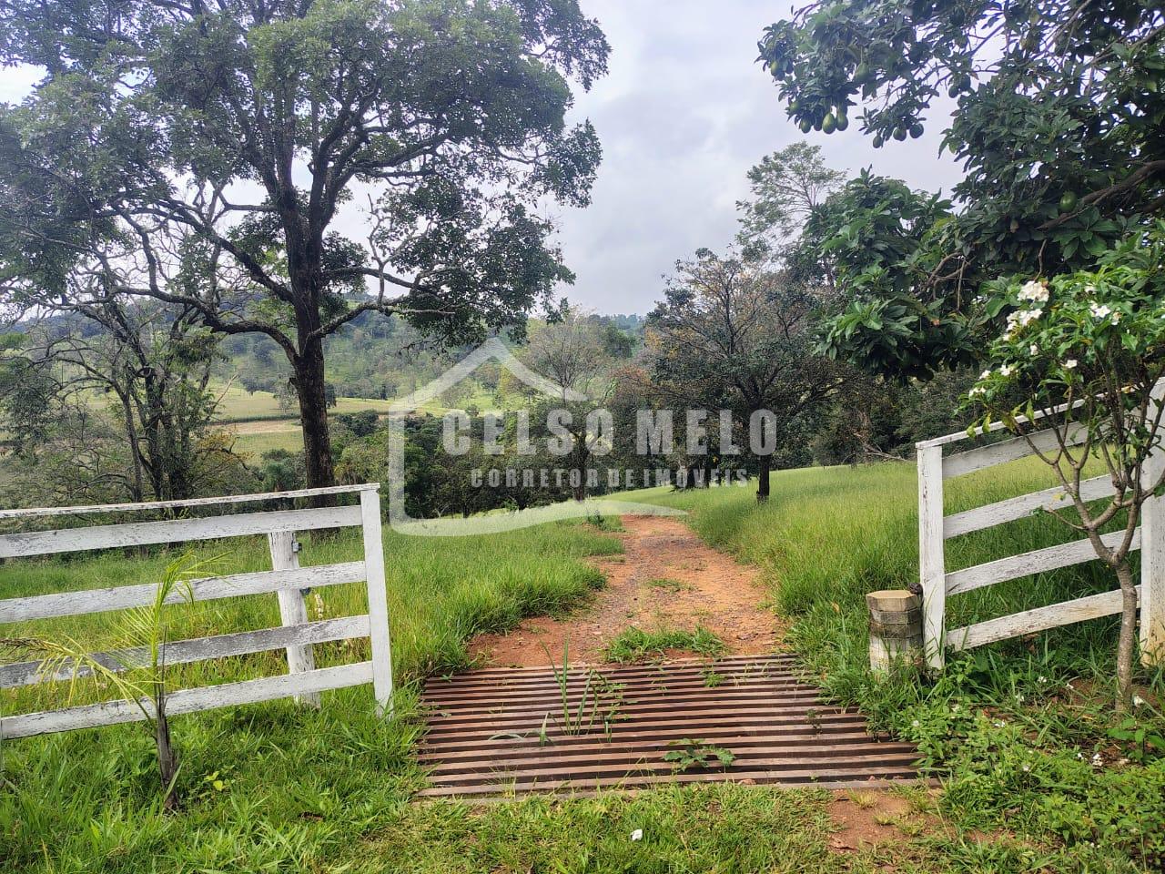 Celso Melo Corretor de Im�veis em Bom Despacho