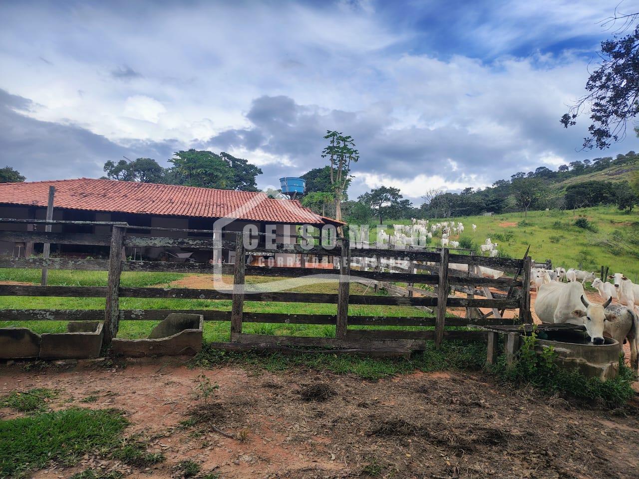 Celso Melo Corretor de Im�veis em Bom Despacho