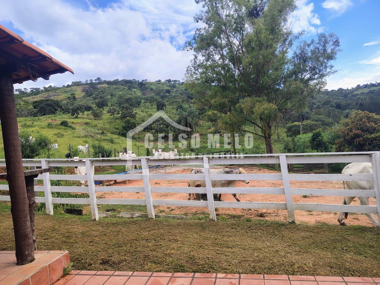 Celso Melo Corretor de Im�veis em Bom Despacho