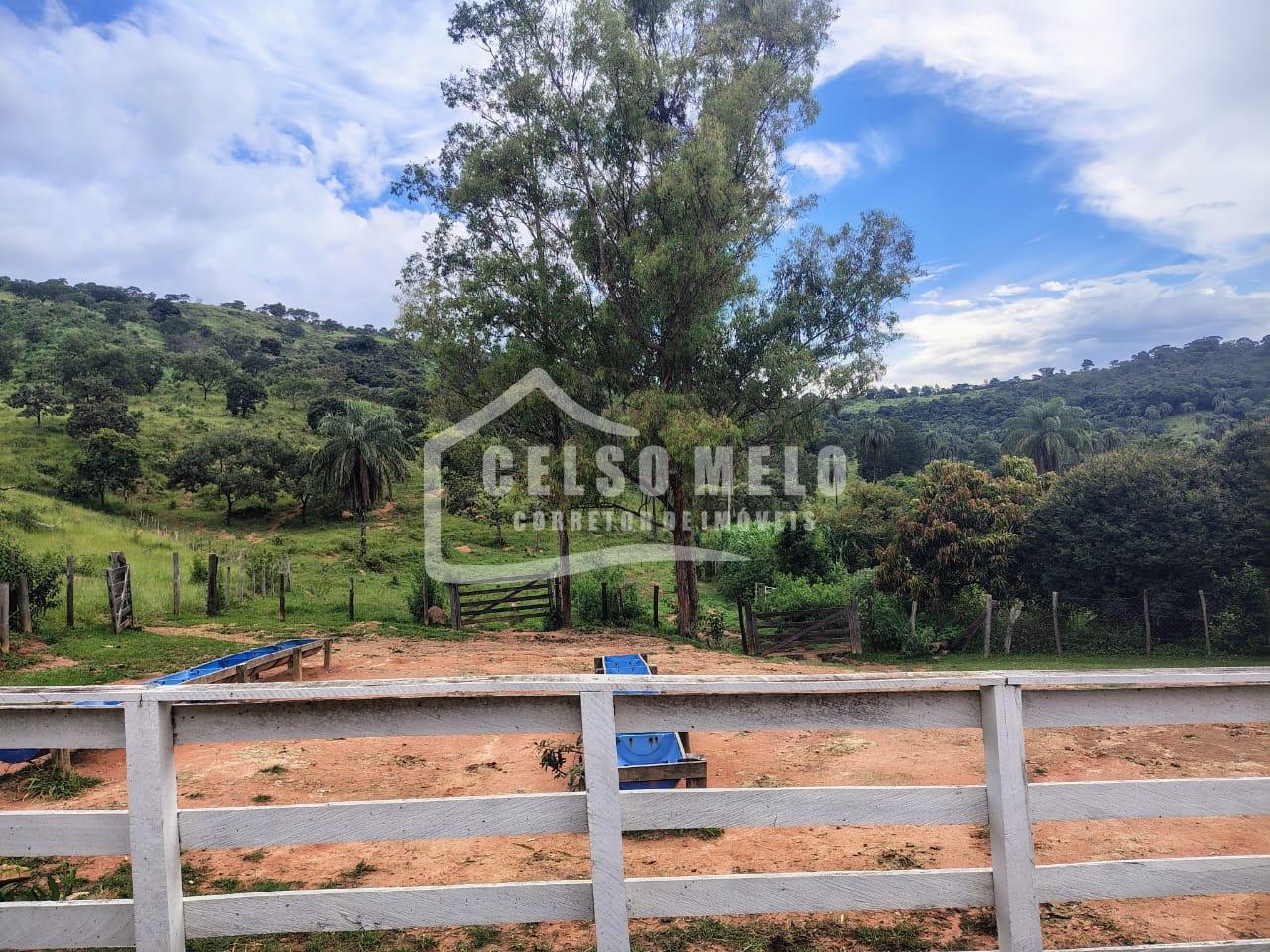 Celso Melo Corretor de Im�veis em Bom Despacho